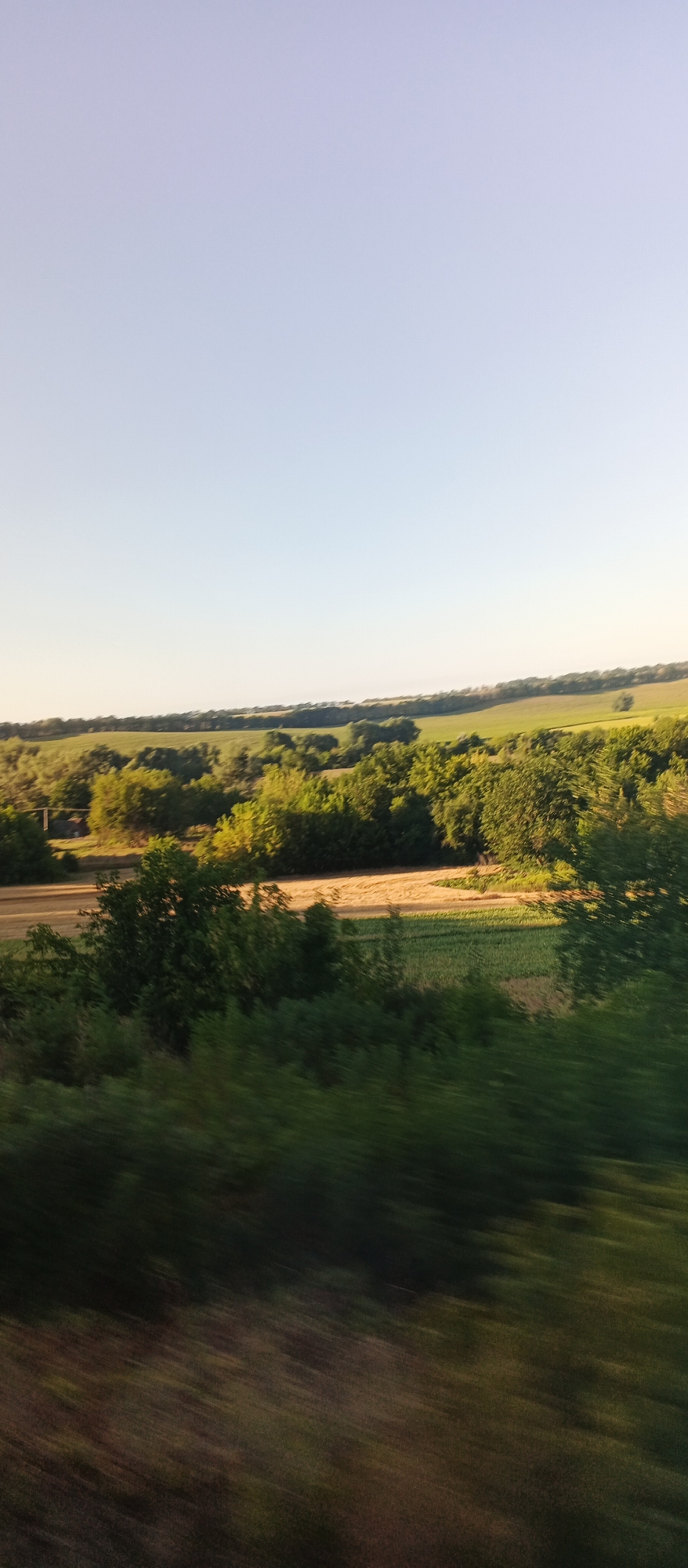 The image depicts a rural landscape at dusk, likely in or near V'yazivok, Ukraine. The foreground is dominated by blurred green foliage, indicating movement, possibly from a vehicle. Beyond this, a field of dry, golden grass is visible, intersected by rows of green crops. Further in the distance, a line of lush green trees creates a natural boundary. The background consists of rolling hills covered in trees and fields, with a clear, pale blue sky overhead. The overall impression is one of natural beauty and tranquility, with a hint of motion suggesting the viewpoint is in transit.