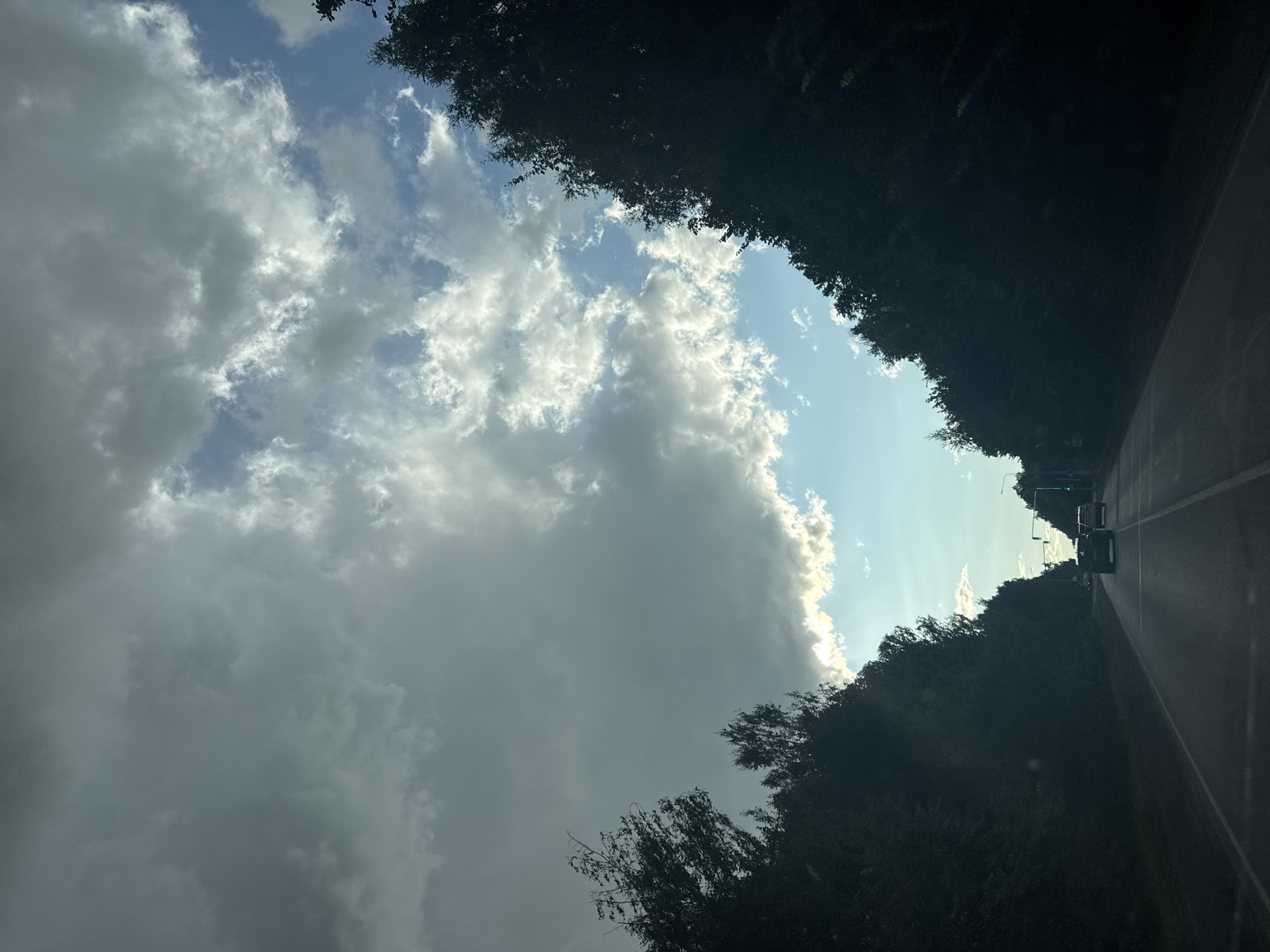 The image depicts a view from a vehicle traveling on a road that appears to be in or near Dmitrievka, Russia. The road is flanked by dense, dark trees on both sides, creating a tunnel-like effect. The sky above is dramatic, with a mix of dark, heavy storm clouds and patches of bright blue sky illuminated by sunlight. There are at least two cars visible on the road ahead, suggesting active traffic. Traffic lights are also visible, indicating the presence of an intersection or junction. The overall impression is that of a journey through a tree-lined road under changing weather conditions.