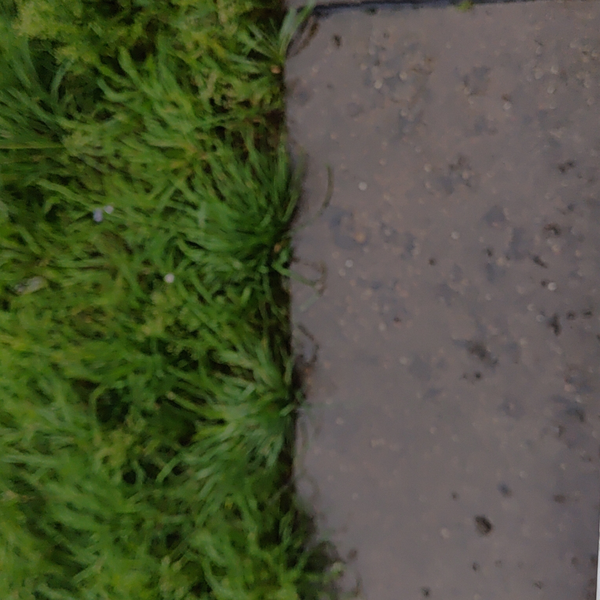 The image shows a close-up view of grass next to a wet, dark pavement surface. The grass is a vibrant green and appears healthy. The pavement has a rough texture with small, scattered pebbles or debris visible. The lighting suggests an outdoor environment, possibly after rain, given the wetness of the pavement. There are no people or specific landmarks visible that would indicate its location in Марковский, Russia.