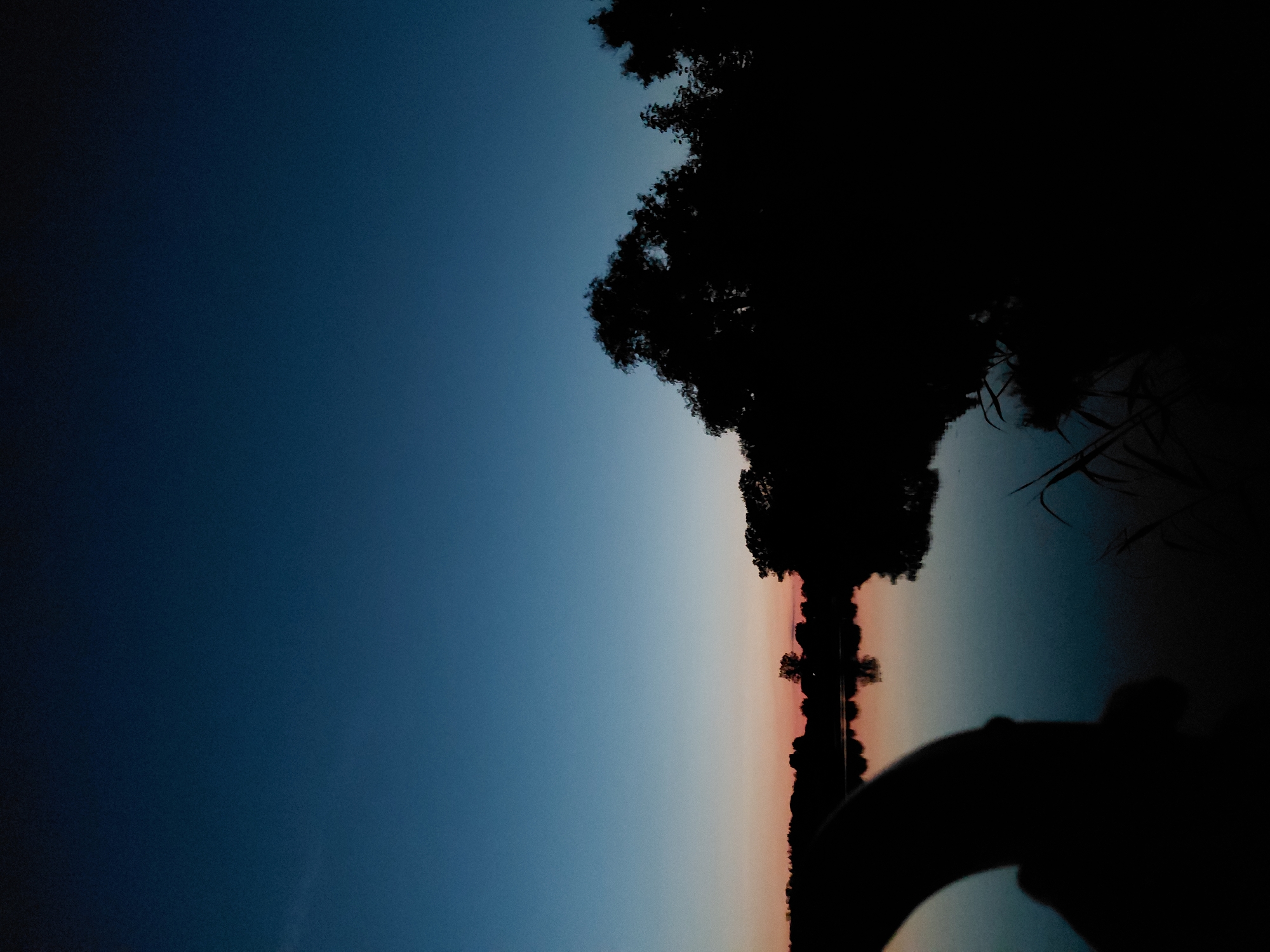 The image captures a serene twilight scene at a body of water, likely a river or lake, in Ustyvytsia, Ukraine. The sky transitions from a deep blue at the top to soft hues of pink and orange near the horizon, indicating the sun has recently set or is about to rise. Silhouetted against this colorful sky are dense trees and vegetation lining the far bank. The water's surface is calm, reflecting the muted colors of the sky and the dark shapes of the trees. In the foreground, a dark, curved object, possibly part of a railing or a boat, is visible on the left side, partially obscuring the view. Some reeds or tall grass are also visible in silhouette along the water's edge on the right. The overall atmosphere is tranquil and subdued, typical of the transitional light of dawn or dusk.