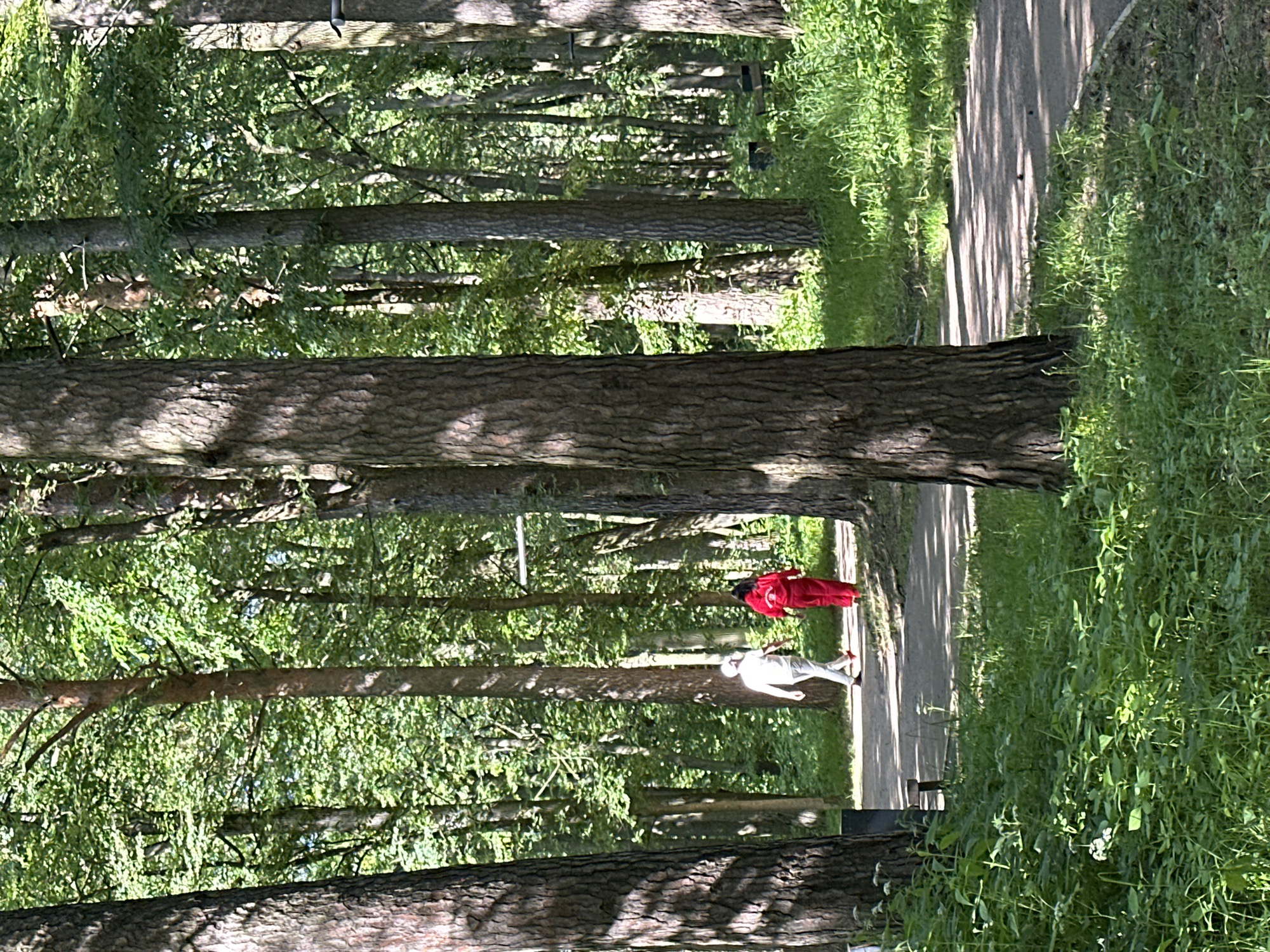In Lukovnya, Russia, a paved path winds through a sun-dappled forest. Two individuals are walking along the path. One person, from behind, wears a white top and light-colored pants. The other person, also from behind, is dressed in a bright red tracksuit. The path is bordered by lush green grass and tall trees, creating a natural, serene environment. The scene suggests a casual stroll or exercise in a park or wooded area.