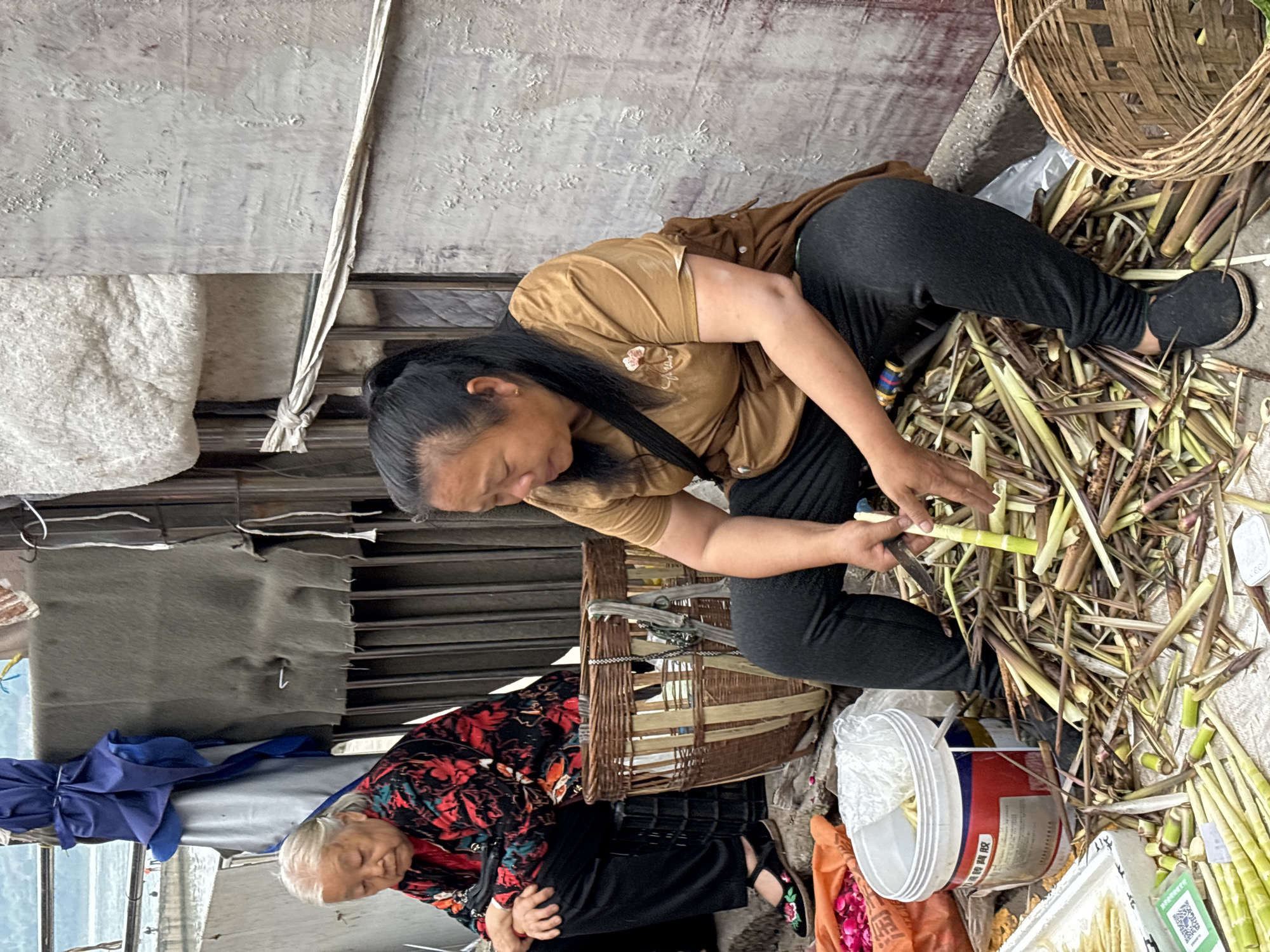 Two Asian women are processing vegetables outdoors. One woman with long black hair, wearing a brown top and black pants, is cutting the stems of the vegetables with a knife. She is surrounded by a pile of the vegetables, both cut and uncut. An older woman with white hair sits nearby, wearing a black and red floral jacket. Various containers and baskets are around them. The location is in the city of Jiangjin, China. The background shows elements of a makeshift outdoor workspace with metal bars and sheets of fabric.