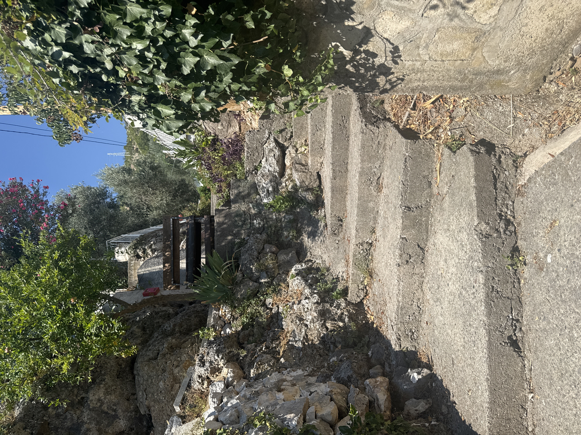 The image depicts an outdoor scene featuring a weathered concrete staircase winding upwards alongside a rocky embankment and lush greenery. The staircase appears to be constructed from rough concrete, with visible signs of wear and tear, including cracks and chipped edges. To the left of the stairs, a rough-hewn stone wall is visible, interspersed with larger rocks and sparse vegetation.
Dominating the upper left portion of the image is a mature tree with dense green foliage and several small, round fruits, likely pomegranates. Adjacent to the tree and the stone wall is a wooden bench with metal supports, positioned on a landing midway up the stairs.
The right side of the image is characterized by a thick curtain of vibrant green ivy clinging to a concrete wall, casting dappled shadows on the stairs below. Other plants, including some with purple foliage, are also visible in the background, interspersed with the rocks and foliage.
The sky above is a clear, bright blue. The overall impression is one of an old, possibly neglected, pathway in a Mediterranean or similar climate, suggesting a natural or semi-natural setting within or near a populated area. The location is identified as Brca, Montenegro.