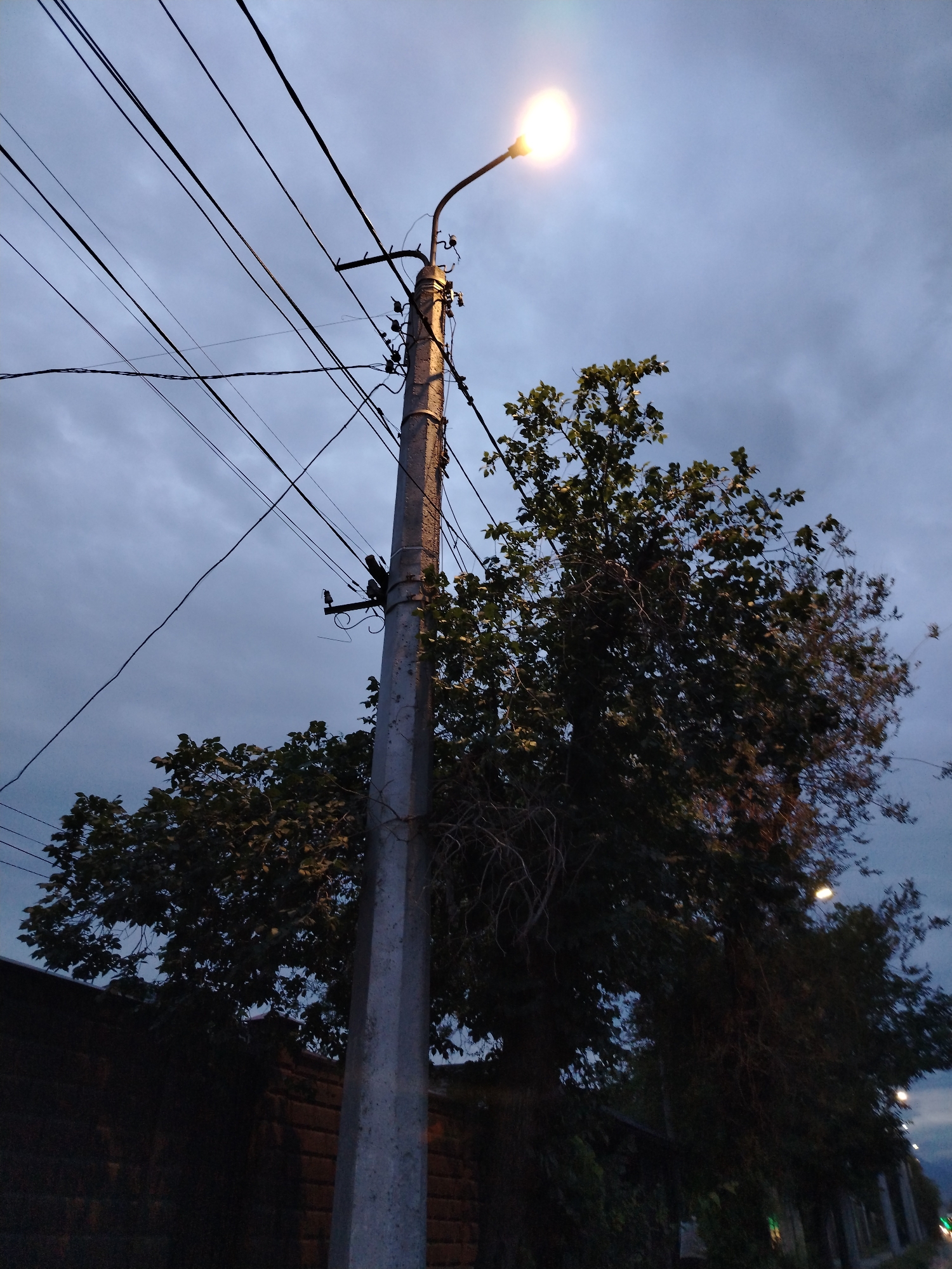 This media file captures a street scene in Bishkek, Kyrgyzstan, likely during dusk or early evening. The primary subject is a concrete utility pole with numerous electrical wires extending from it. A street lamp atop the pole is illuminated, casting a bright light against the twilight sky.
To the right of the pole, a lush green tree with dense foliage dominates the frame, its branches reaching upwards. Further to the right, another tree is partially visible, and in the distance, a line of streetlights can be seen, suggesting a road or street is present.
The background is a dramatic sky filled with dark, overcast clouds, indicating a potentially cloudy or stormy weather condition. Below the tree and to the left, a dark, brick wall or structure is partially visible, hinting at the urban setting. The overall mood is subdued and somewhat mysterious, amplified by the low light conditions and the imposing presence of the utility pole and wires. No people are visible in the frame, and there is no discernible text.