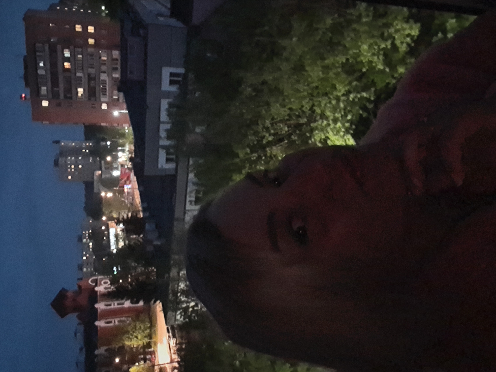 The image is a selfie taken at night, likely from a balcony or high vantage point overlooking a city. The foreground shows the face of a person, possibly female, with dark hair. The background reveals an urban landscape including residential buildings, trees, and streetlights. The image shows city of Elektrostal, Russia including the 12th Microdistrict.