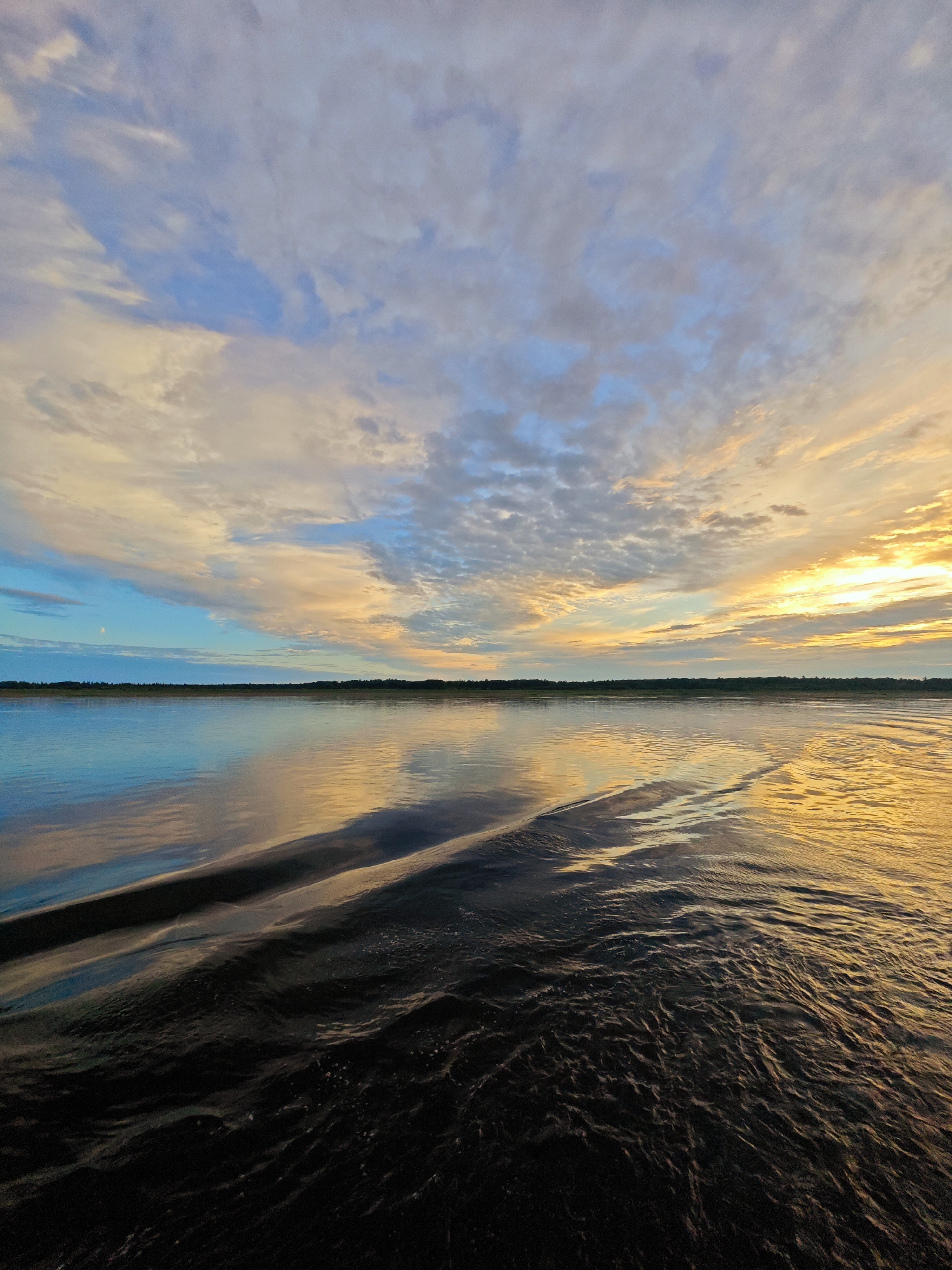 This media file depicts a tranquil natural scene on a body of water, likely a river, at either sunrise or sunset. The sky is a canvas of soft colors, with wisps of clouds painted in shades of blue, white, and warm golden hues from the setting or rising sun. The sun's light is prominently reflected on the water's surface, creating shimmering patterns of gold and blue.
In the foreground, the water is dark and choppy, showing the wake of a boat or a disturbance on the surface. Gentle waves and ripples are visible, catching the light and adding texture to the scene. Beyond the immediate water, the surface becomes calmer, reflecting the colorful sky in a more subdued manner. A dark, thin line of trees and foliage forms the distant horizon, suggesting a forested or natural landscape.
The overall mood of the image is peaceful and serene, evoking a sense of calm and natural beauty. The time of day is clearly indicated by the warm, low-angled light and the colors in the sky, suggesting either early morning or late evening. There are no people or man-made objects visible, emphasizing the untouched natural environment. The location context provided is Nikulino, Russia, which aligns with the imagery of a vast river and natural landscape. No visible text is present in the image.