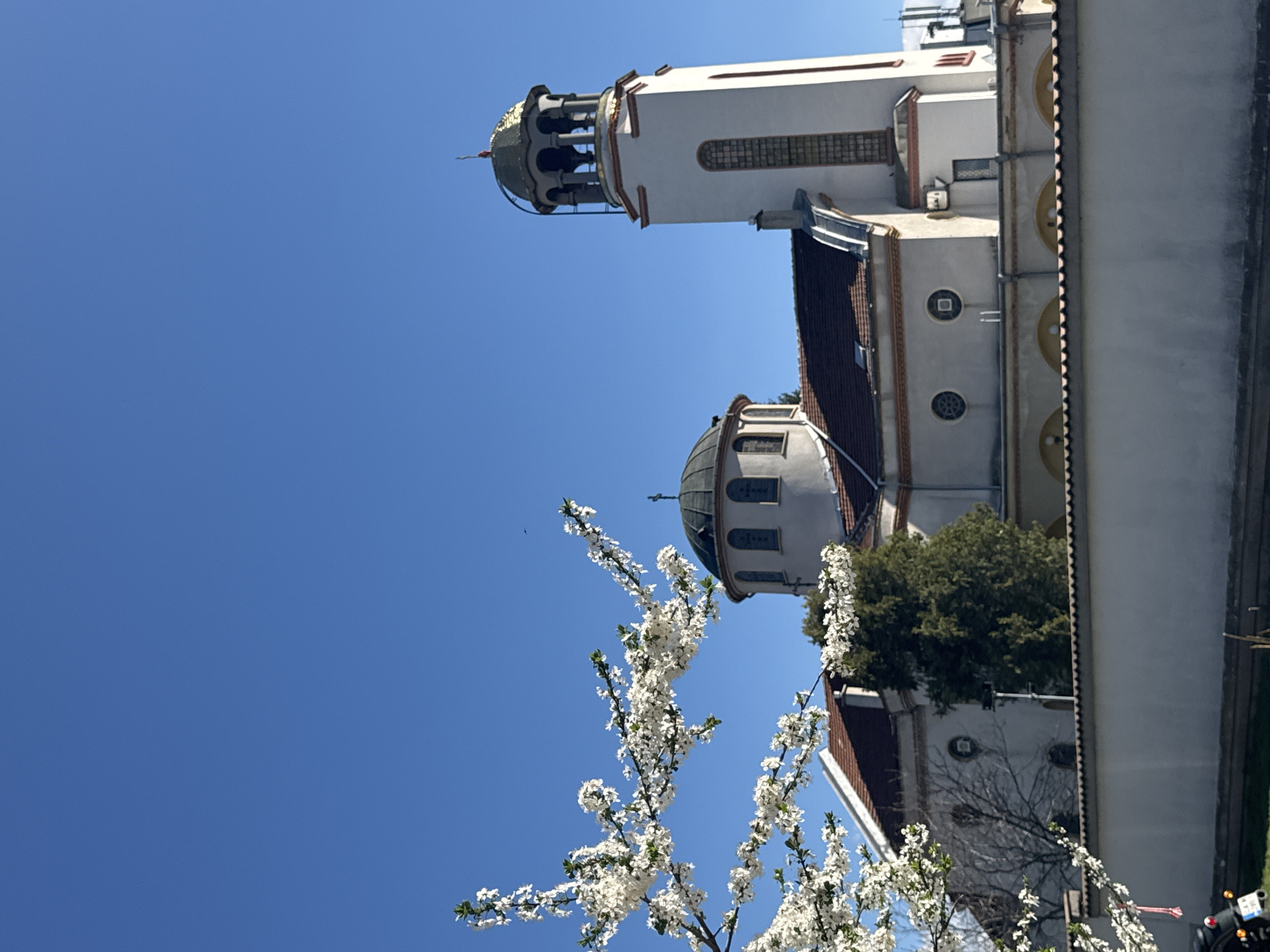 The image shows the St. Nicholas Russian Church in Sofia, Bulgaria. The church has a white facade, a bell tower with a golden dome, and a larger dome over the main structure. Blossoming white trees are in the foreground. The sky is clear and blue. Other buildings surround the church on the right.