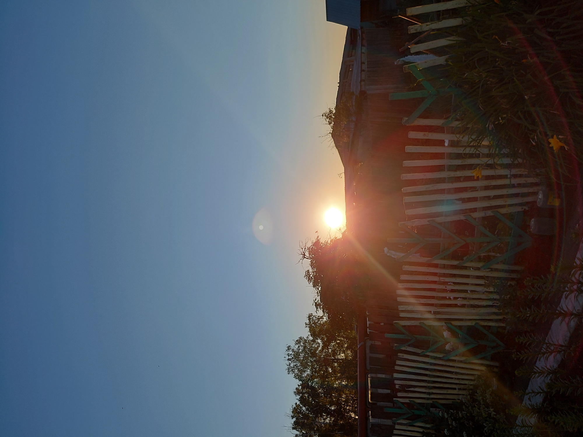 The image depicts a sunset over a rural property in Novoselovo, Russia. A white wooden fence with green painted accents runs across the foreground, partially obscuring a garden with tall green plants and yellow flowers. Behind the fence, trees and the roofs of several buildings are visible. The sun is low in the sky, casting a warm orange glow and creating lens flare effects that streak across the image. The sky is a clear, gradient blue, darkening towards the top of the frame.