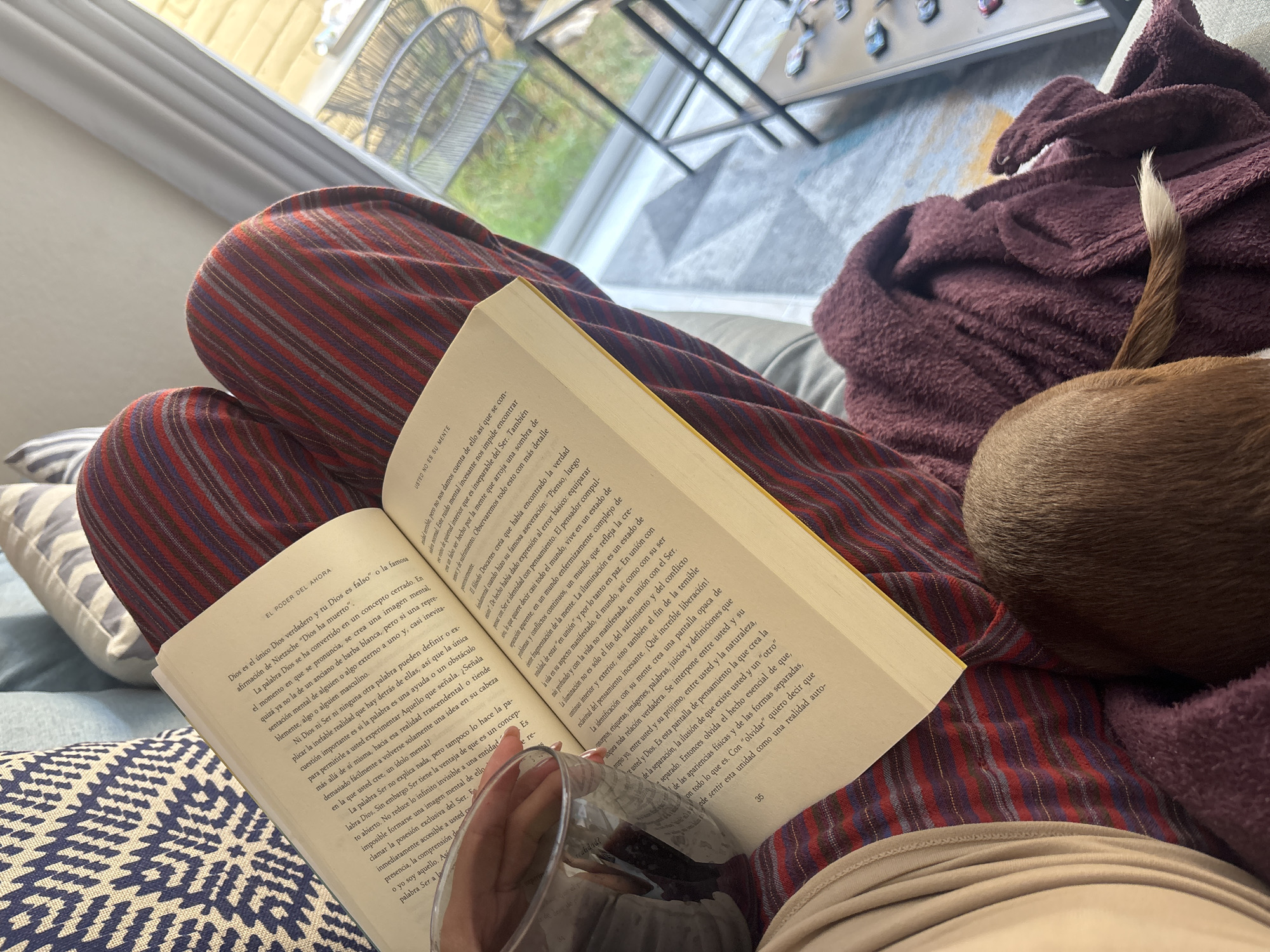 The image shows a person sitting on a couch with striped pajama pants, reading a book titled "El Poder del Ahora." The book is open, and the pages display Spanish text. A glass of red wine is held in the person's hand, slightly obscuring the view of the book. A dog's head and tail are visible on the right side of the image, resting on a maroon-colored, textured blanket. Pillows with blue and white patterns are visible on the couch. A window with a view of greenery and a metal structure is visible in the background. The specific location in the city of Puebla, Mexico, cannot be determined from the given image.