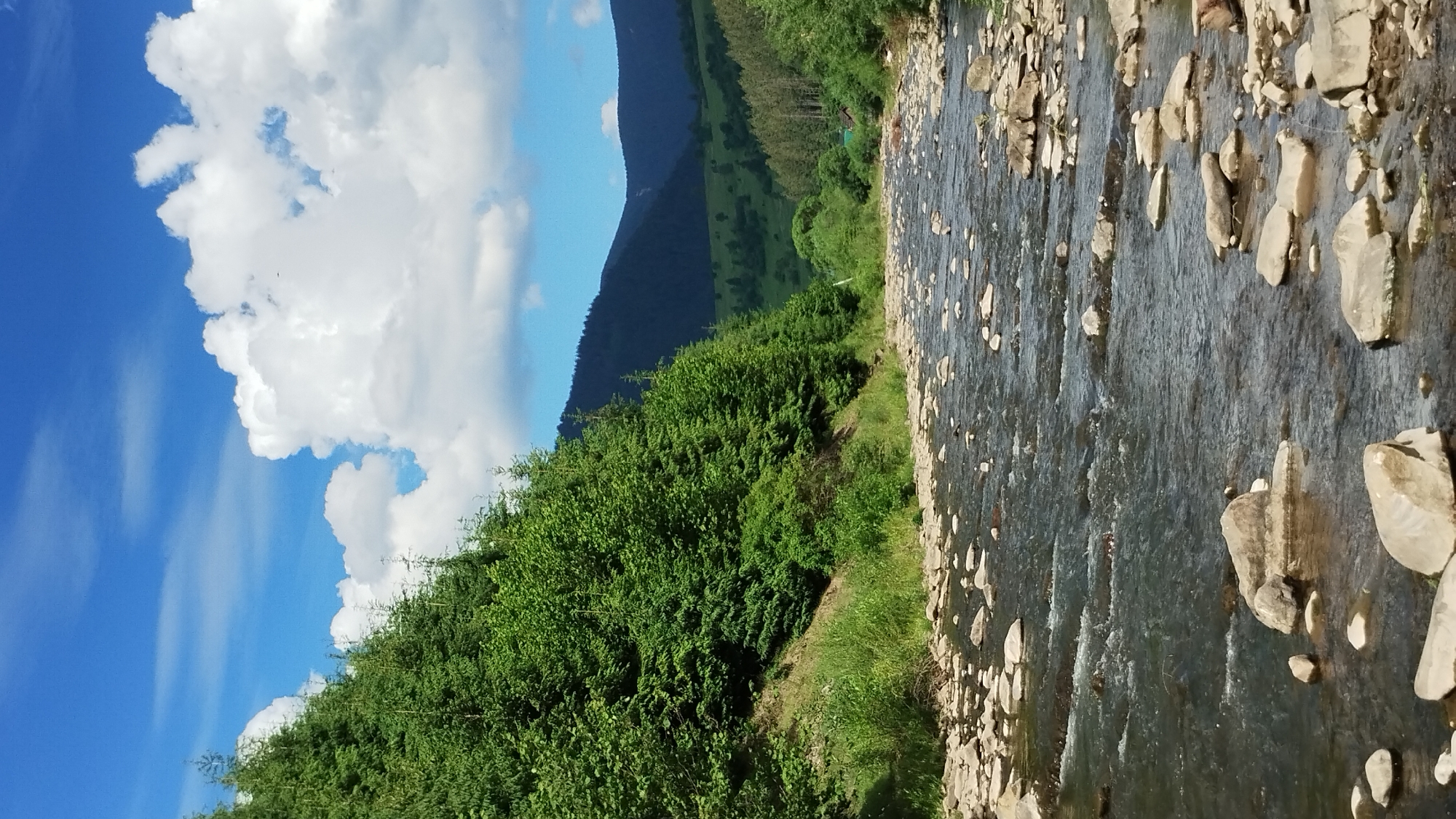 This is a landscape photograph taken outdoors in Synevyrska Poliana, Ukraine. The image is oriented vertically. The foreground is dominated by a rocky riverbed and flowing water. The river is clear and shallow, with many light-colored stones of various sizes visible beneath the surface and along its banks. To the left of the river, there is a dense, vibrant green bush or tree line that extends upwards and to the left.
Behind the vegetation, rolling hills are visible, covered in lush green trees. The hills recede into the background, with darker, more distant mountains and a bright blue sky above. The sky is dotted with large, fluffy white clouds. The overall scene suggests a warm, sunny day, likely in the late morning or early afternoon, given the brightness and the shadows. There is no visible text or human activity in the image. The setting is a natural, undeveloped landscape, characteristic of a mountainous region.
