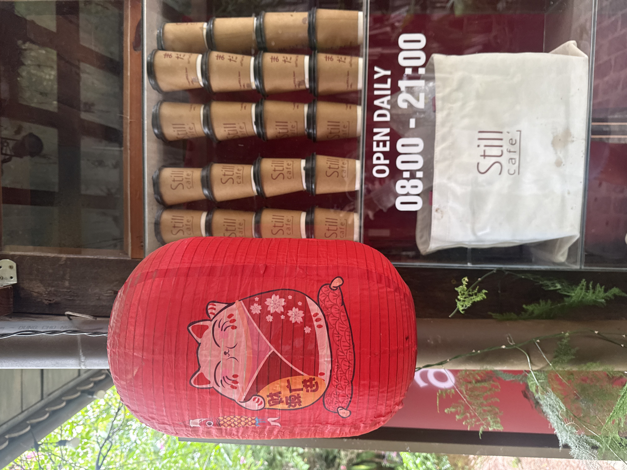 A red Japanese lantern hangs in the foreground, featuring a depiction of a Maneki-neko (beckoning cat) and Japanese characters. Behind the lantern, a display case holds stacks of coffee cups with the branding "Still cafe". A white tote bag with the same "Still cafe" logo is placed below the cups. The text "OPEN DAILY 08:00 - 21:00" is visible on the glass of the display case. The background shows foliage and the architecture of a building, suggesting an outdoor or semi-outdoor cafe setting in Lâm Viên - Đà Lạt, Vietnam.