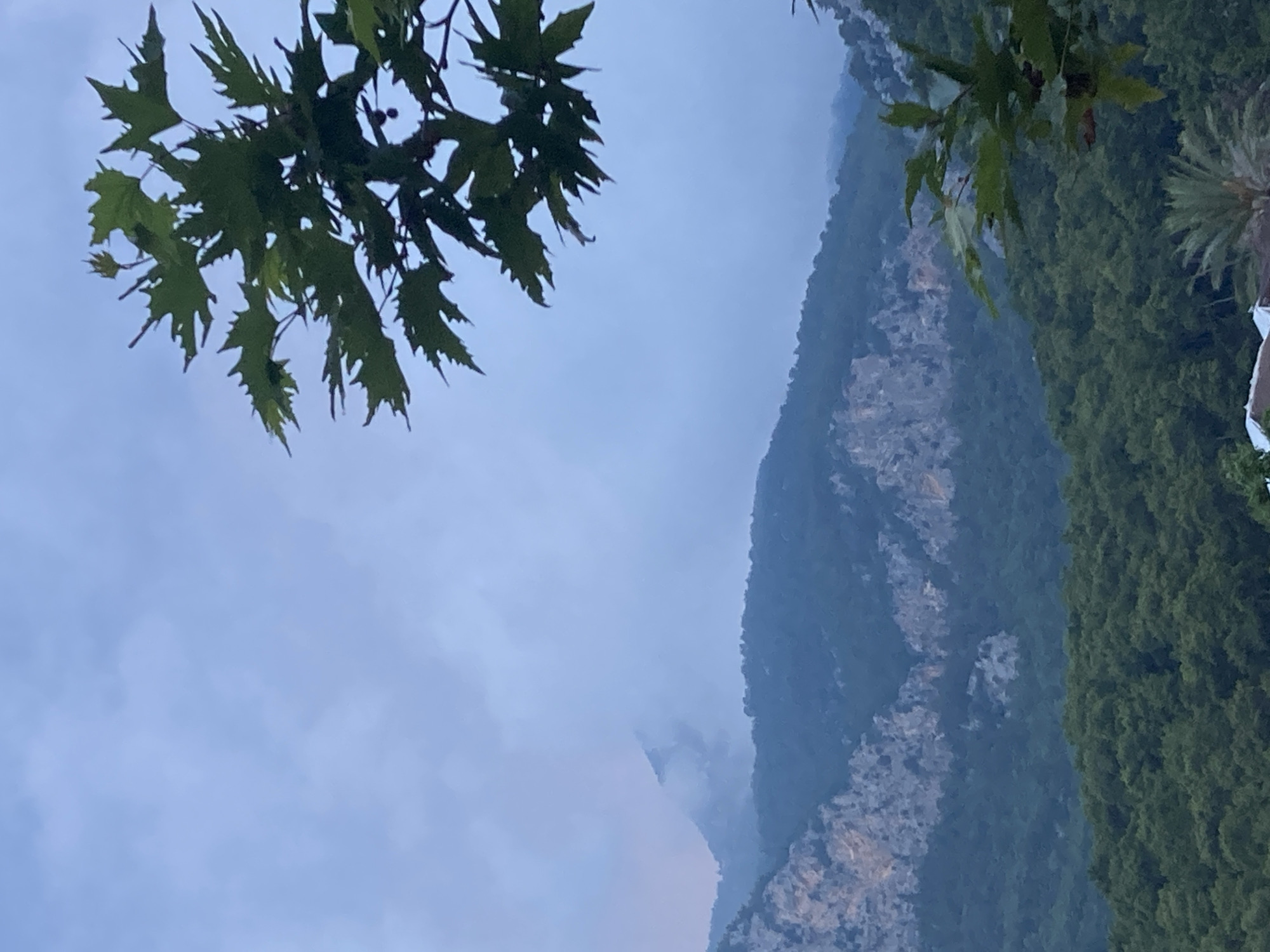A vertical, low-angle shot captures a misty, mountainous landscape in Kemer, Turkey. The foreground is dominated by the dark green, leafy branches of a tree, with some of its leaves obscuring the sky and framing the scene. In the middle ground, a dense forest of dark green trees covers rolling hills. Beyond the forest, rugged, light-colored rock formations are visible, partially shrouded in mist. Further in the distance, a mountain peak emerges from the haze, its summit indistinct. The sky is overcast with a pale blue and gray hue, indicating a cloudy or twilight atmosphere. No people or animals are visible in the frame.
