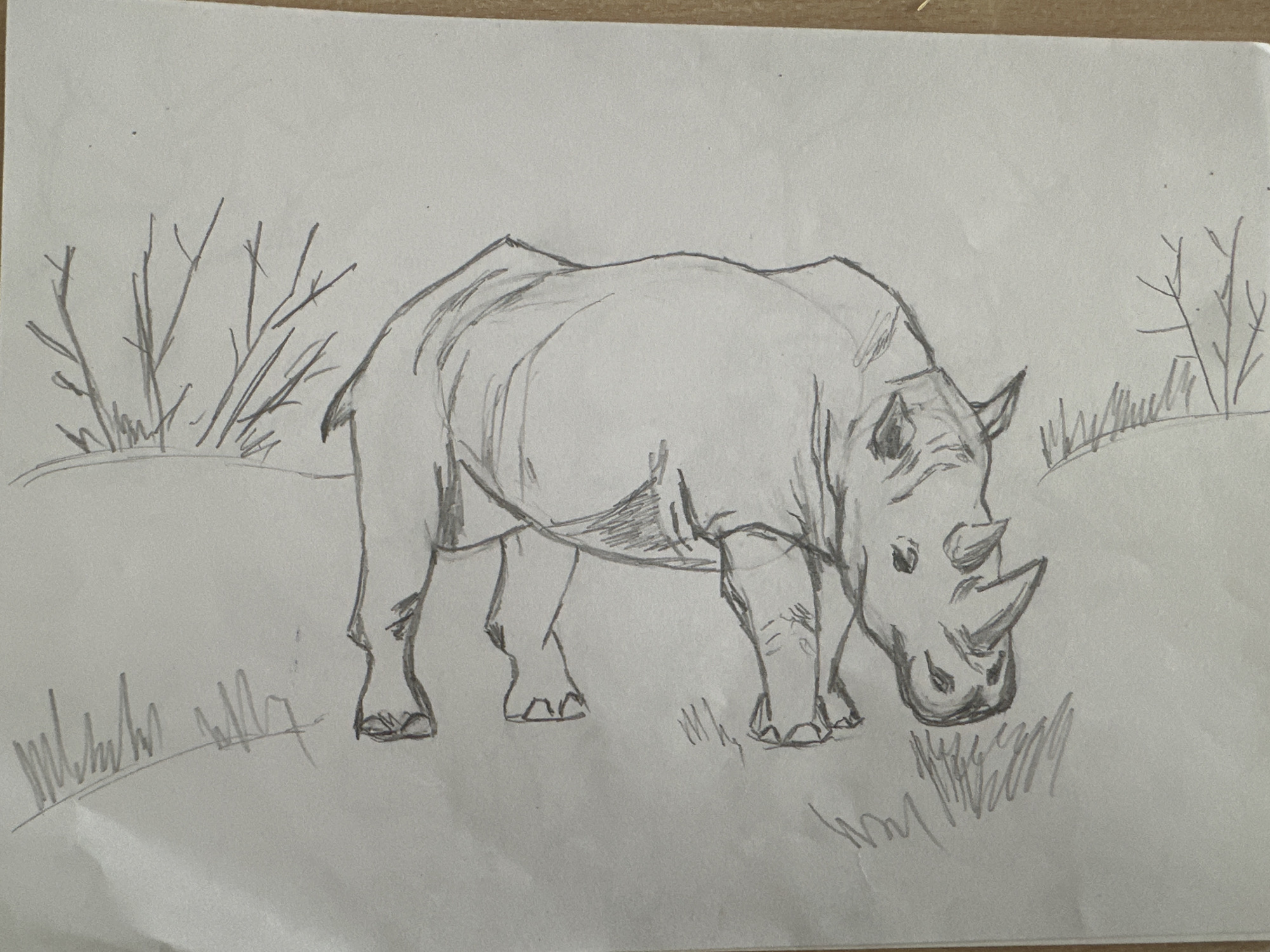 The image is a pencil sketch on paper depicting a rhinoceros. The rhinoceros is drawn in profile, facing left, with its body angled slightly upwards. Its thick legs are visible, and its distinctive horns are prominent on its snout. Shading is used to suggest the animal's musculature and the folds of its skin. The background is sparsely sketched, with indications of grass or foliage to the left and right, and some branching elements suggesting a sparse environment. The sketch is oriented vertically, and the paper appears to be slightly creased. There is no indication of a specific location within Mineralnye Vody, Russia.