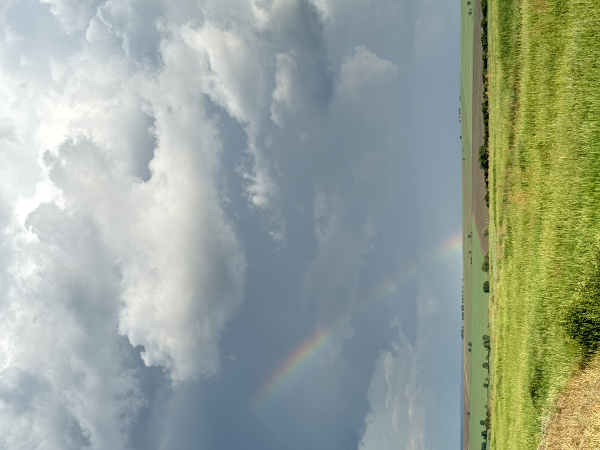 The image depicts a rural landscape under a dramatic sky, featuring a vibrant rainbow arching across the frame. The foreground is dominated by a lush, green field of grass, with a section of dry, golden straw visible on the left. Beyond this, rolling hills are divided into distinct agricultural fields, one a rich brown and another a lighter green. A line of trees marks the horizon, and a secondary, fainter rainbow is visible below the primary one. The sky is filled with a mix of dark, stormy clouds and brighter, illuminated clouds, suggesting recent or ongoing rainfall. The scene appears serene and natural, with no human figures or man-made structures prominently featured besides the agricultural fields and distant trees. The location is stated to be in Nikolopetrovka, Russia.