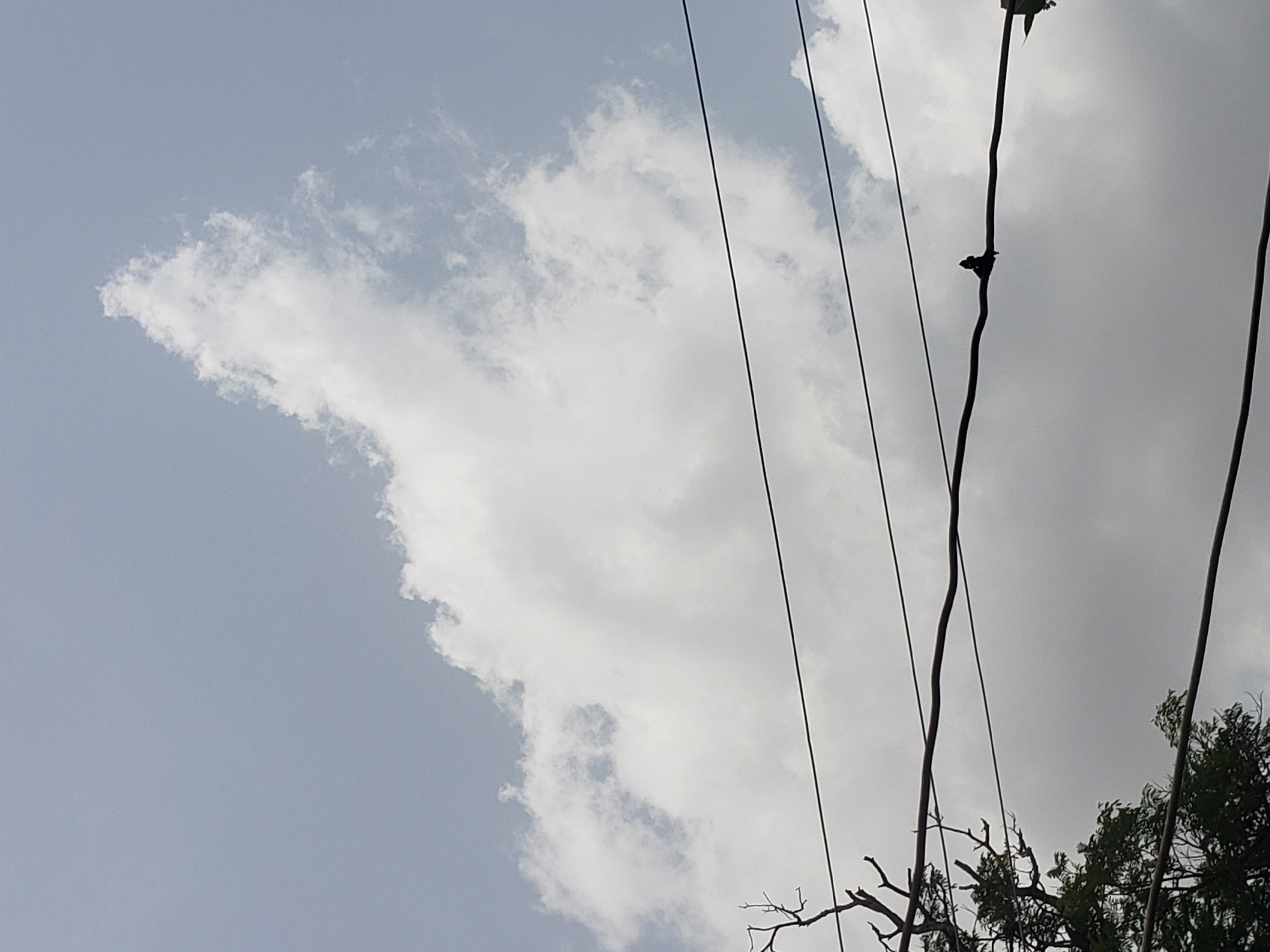 The image shows a sky in Adankolo, Nigeria, with light blue hues and white clouds. Several black electrical wires stretch across the frame. Two birds are perched on one of the wires. Tree branches with green leaves are visible in the lower right corner.