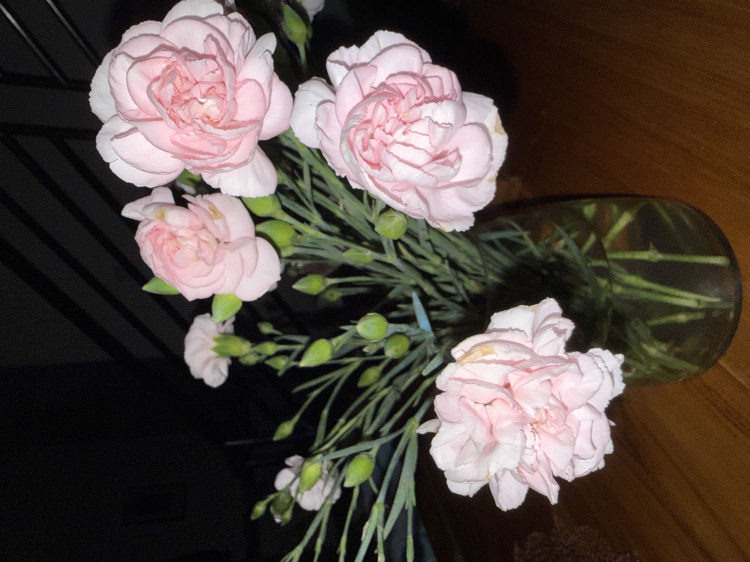 A bouquet of light pink carnations with green foliage and several closed buds is arranged in a clear glass vase. The image is captured from an overhead, slightly angled perspective, looking down into the arrangement.
The central focus is on four prominent carnation blooms, each displaying ruffled petals in soft shades of pink, with some outer petals appearing lighter or almost white. One large flower occupies the upper left, another in the upper right, a smaller one below the upper left, and a fourth large bloom is positioned towards the bottom right. Minor browning is visible on the edges of some petals, particularly on the bottom right flower.
The flowers' green stems extend downwards into the vase, which is filled with water, revealing the submerged parts of the stems. The background on the left side is predominantly dark, almost black, with faint vertical and horizontal lines suggesting a slatted or patterned surface. The background on the right side features a warm, dark brown surface, possibly wood, which extends behind the vase.
The lighting appears to be artificial or low-light, highlighting the flowers against the darker surroundings. No human activity or visible text is present in the image. While the location context of Kuta Selatan, Indonesia is provided, no specific visual cues within the image itself confirm this geographical setting.