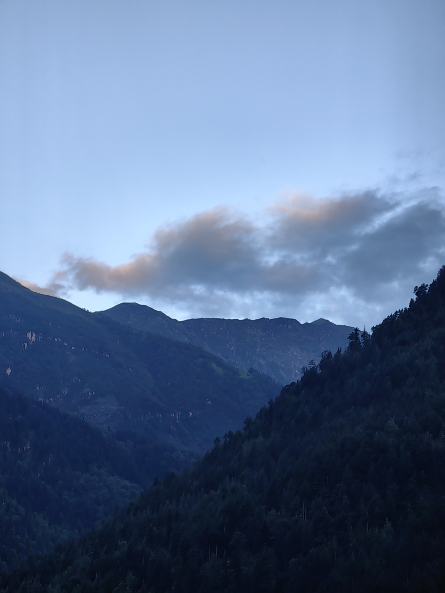 This is a landscape photograph of mountains in Vashisht, India. The image is taken from a low angle, looking up towards the sky. The sky is a pale blue, with some scattered clouds. The mountains are covered in dense forest, and they rise steeply from the valley floor. The lighting suggests it is either early morning or late evening. There are no people or man-made objects visible in the scene.