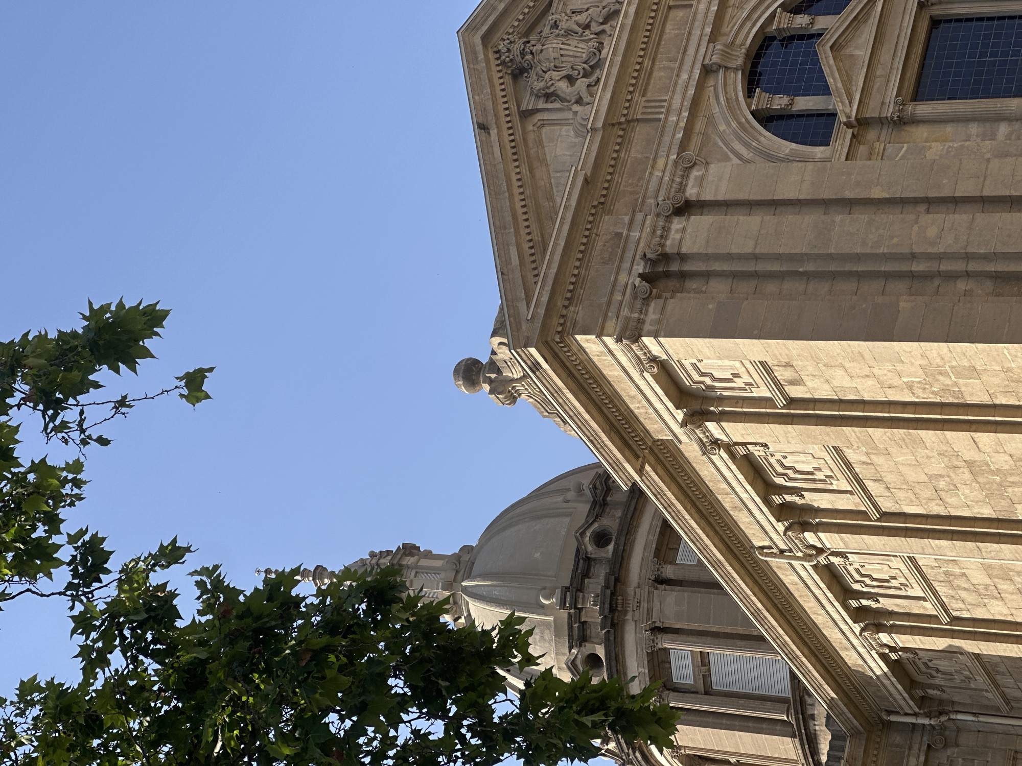 An exterior view of the Palau Nacional in Barcelona, Spain, on a clear, sunny day. The building's light-colored stone facade features classical architectural elements such as columns, cornices, and decorative carvings. In the upper left portion of the image, a section of lush green foliage from a tree hangs into the frame, partially obscuring the sky and the building's dome. The sky is a bright, cloudless blue. The building's prominent dome, made of stone, is visible on the left side, with ornate detailing and small windows. To the right of the dome, the building's pediment is visible, adorned with a coat of arms and sculptural figures. The overall scene captures the grandeur of the architecture against the natural elements and a clear sky. There are no people visible in the image.