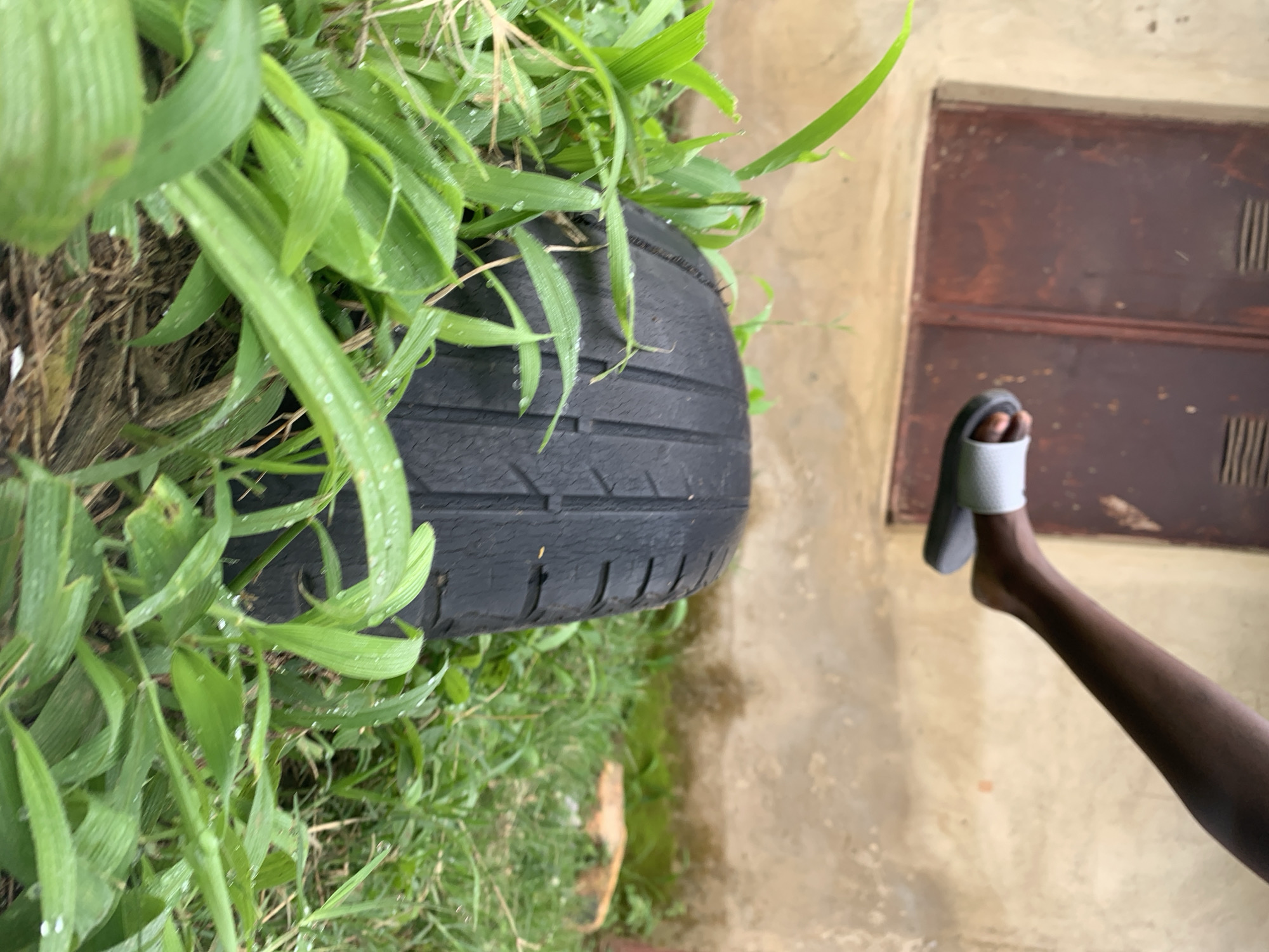The image displays an outdoor scene in Rafin Par, Nigeria. A low-angle perspective captures a foreground dominated by dense green grass covered in visible water droplets, suggesting dew or recent rain. In the mid-ground, a black, worn vehicle tire with distinct tread patterns is partially embedded in or resting on the wet grass. Positioned above the tire, entering the frame from the mid-right, is the lower right leg and foot of a person with dark skin. The foot wears a light gray slide sandal with a dark sole and appears to be in motion or suspended above the tire. The background features a weathered, light-tan or off-white building wall. On this wall, in the upper-left, are two dark brown, vertically aligned louvered window shutters or doors, exhibiting signs of age and weathering. The scene is illuminated by natural, diffused light.
