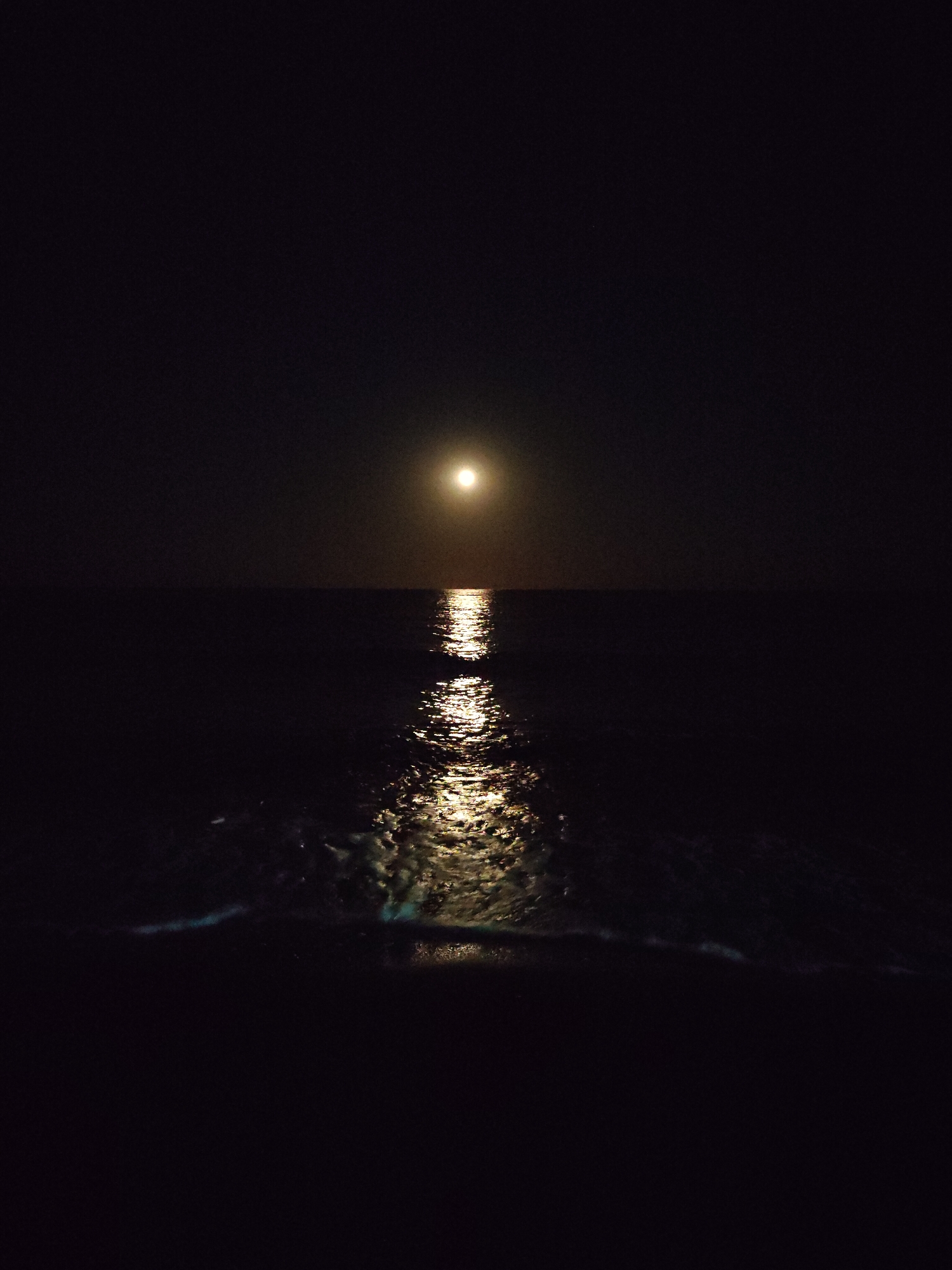 The image depicts a serene night scene of the sea, with the moon illuminating the water. The moon, a bright orb in the dark sky, casts a shimmering reflection on the calm surface of the sea. The horizon line is visible, separating the dark sky from the darker sea. Gentle waves are breaking on the shore in the foreground, adding a subtle dynamism to the tranquil atmosphere. The location is the coastline of Λιτόχωρο, Greece, a town known for its proximity to Mount Olympus and its beautiful seaside. There are no people or specific objects visible in the frame, emphasizing the natural beauty of the night seascape.