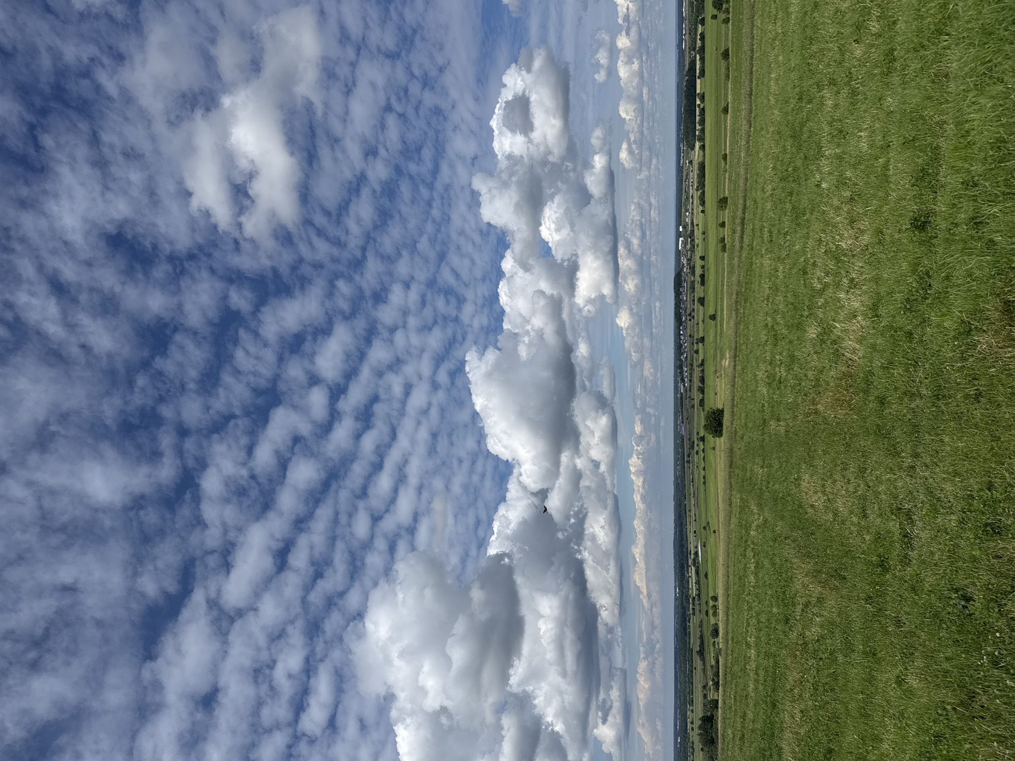 The image depicts a vast expanse of sky and a green field, oriented vertically. The sky is filled with a variety of clouds, ranging from small, scattered white puffs to larger, more dramatic cumulus formations. The clouds are predominantly white, with some showing hints of gray, suggesting varying depths and densities. The blue of the sky is visible in between the clouds, indicating a partly cloudy day.
The right side of the image features a wide, green field of grass. The grass appears well-maintained, with some areas showing a lighter shade, possibly due to different types of vegetation or variations in sunlight. A line of trees and some distant structures are visible along the horizon where the field meets the sky. These features create a sense of depth and suggest a rural or semi-rural landscape.
A small, dark bird is visible in flight against the backdrop of the clouds, adding a dynamic element to the scene. The lighting suggests it is daytime, likely midday or afternoon, given the brightness of the sky and the way the sun illuminates the clouds and field. The overall mood of the image is peaceful and serene, evoking a sense of openness and nature. There is no visible text in the image. The location context provided is Kaporskoe, Russia.