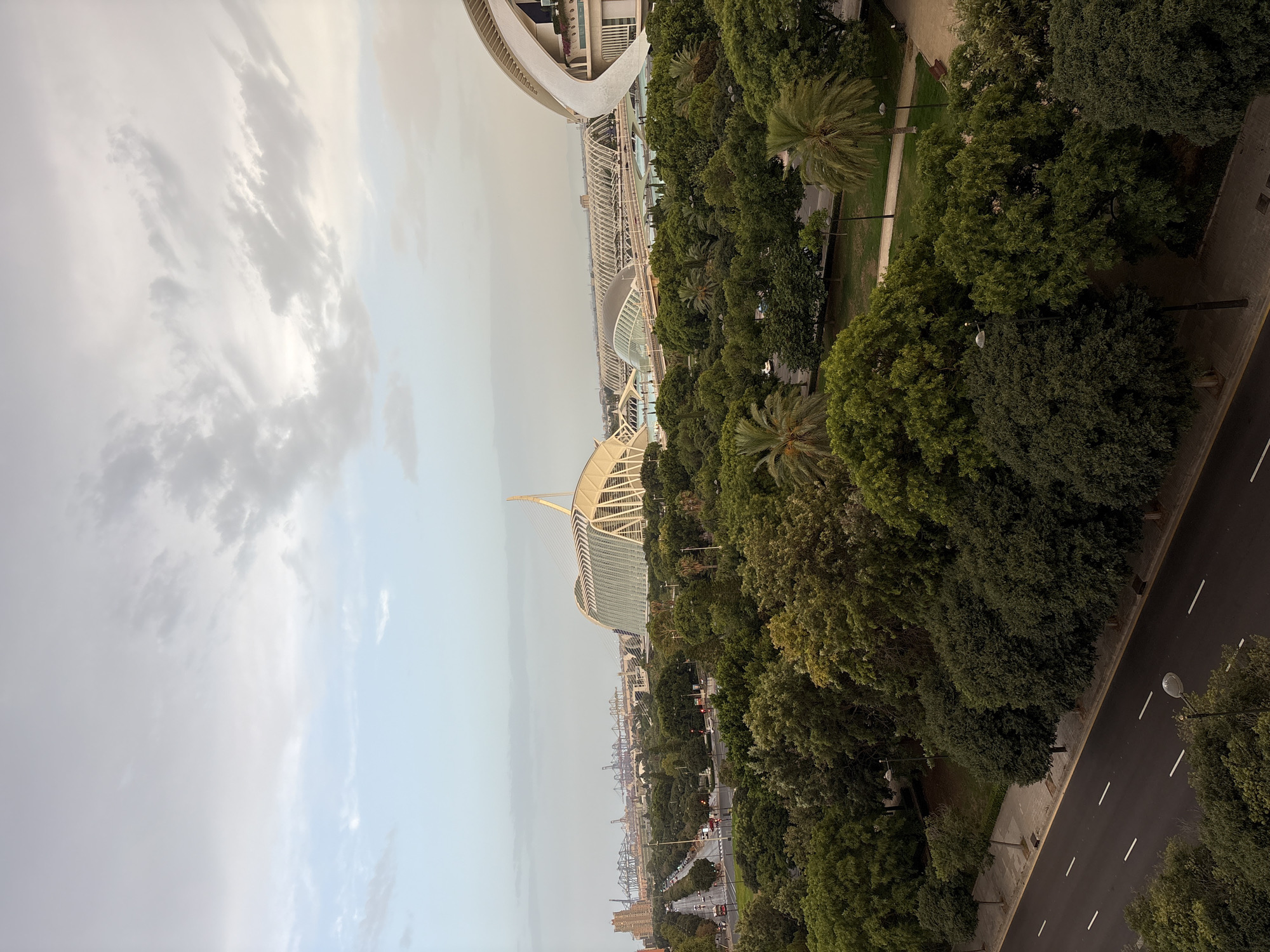 The image is a high-angle view of a city park and a street, with several modern architectural structures and a distant port in the background. The sky is overcast with scattered clouds. In the foreground, a dark asphalt road with white dashed lane markings runs diagonally across the bottom left of the frame, bordered by a sidewalk and dense green trees. The trees form a lush canopy that dominates the middle ground, with some palm trees interspersed. Beyond the park, a wide street is visible with several cars driving. Further in the background, the distinctive white, curved roofs of the City of Arts and Sciences complex in València, Spain, are prominent. Specifically, the Hemisfèric, the Palau de les Arts Reina Sofía, and other structures of the complex are identifiable. In the far distance, a port with cranes and shipping containers is visible, suggesting proximity to the sea. No people are clearly discernible in the image.