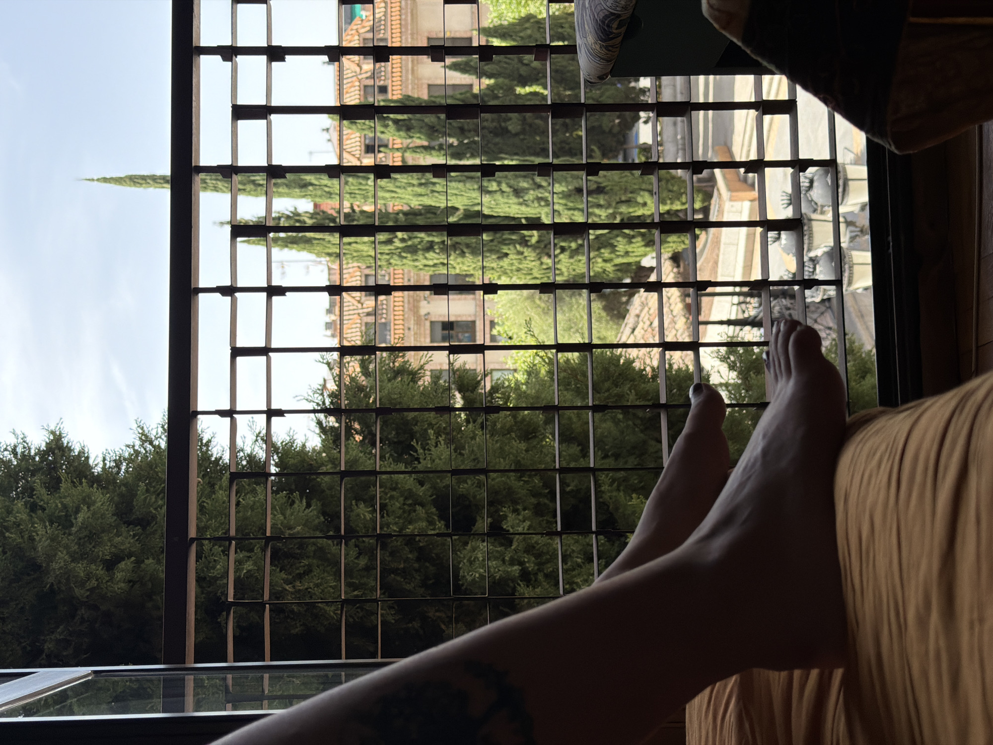 The image depicts a close-up view of a person's legs and feet resting on a textured, orange surface, likely a bed or sofa. The person's left leg is visible in silhouette with what appears to be a tattoo on the thigh. The feet are positioned towards the right side of the frame, with toenails painted dark.
Beyond the immediate foreground, a black metal grate creates a grid pattern, obscuring a view of the outside environment. Through the grate, several tall, slender cypress trees are visible, some of which are partially silhouetted against a bright, overcast sky. Behind the trees, a building with terracotta-colored tiled roofs and cream-colored walls can be seen. The architectural style suggests an urban setting, possibly residential or commercial.
Further in the background, streetlights are visible, implying a street or plaza. The overall impression is that the scene is taking place indoors, looking out through a window or balcony with a protective grate. The lighting suggests it is daytime, likely late morning or afternoon. The presence of the cypress trees and terracotta roofs may hint at a Mediterranean or Southern European location. Given the prompt specifying Las Rozas de Madrid, Spain, this architectural and botanical combination is plausible for the region.
