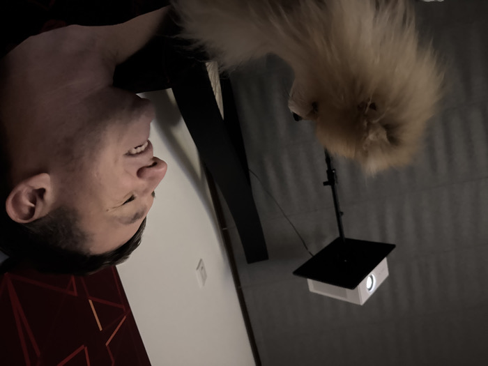 An upside-down image shows a man with short hair and light skin smiling slightly. Adjacent to him is a fluffy, light brown Pomeranian dog. In the background, there is a projector mounted on a stand. The room has light-colored walls and a dark red panel with geometric patterns on one side. The photo appears to be taken indoors with artificial lighting.