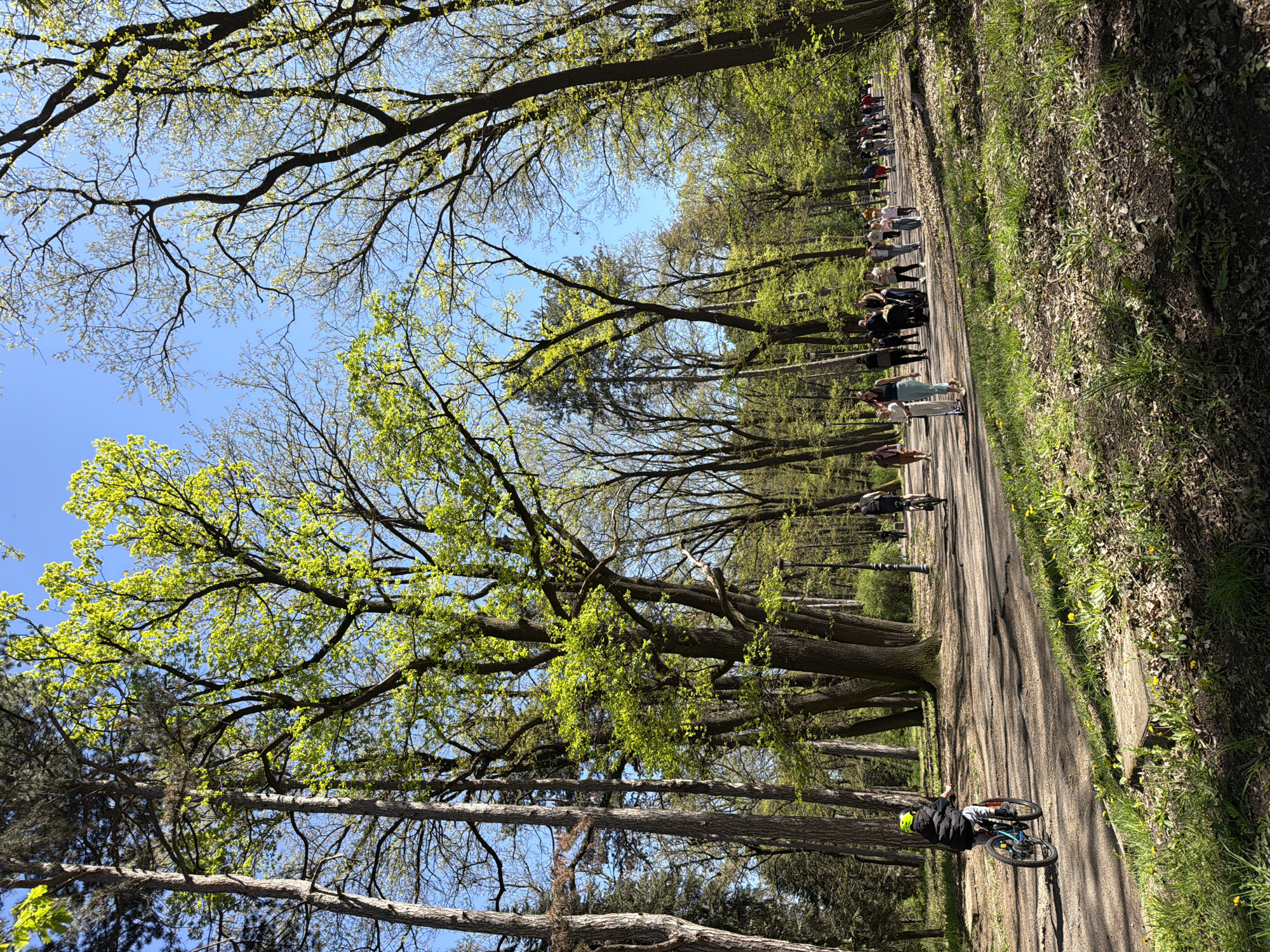 The image shows a path through a park in Sofia, Bulgaria. The path is lined with tall trees. People are walking along the path. A person on a bicycle is riding towards the camera. The sky is blue. The trees are in the process of growing green leaves. The right side of the path has grass and dead leaves.