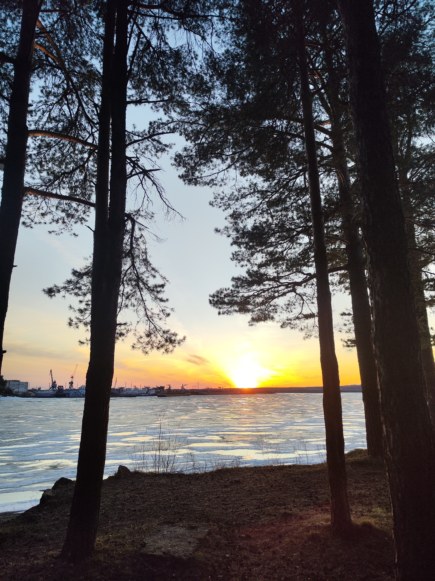 The image shows a sunset over the Votkinsk Reservoir in Chaikovsky, Russia, framed by pine trees in the foreground. The reservoir is partially frozen, with visible ice floes on the water surface. Cranes and structures of a harbor are silhouetted against the setting sun on the opposite shore. The foreground consists of a dark, grassy bank with shadows from the trees cast upon it.