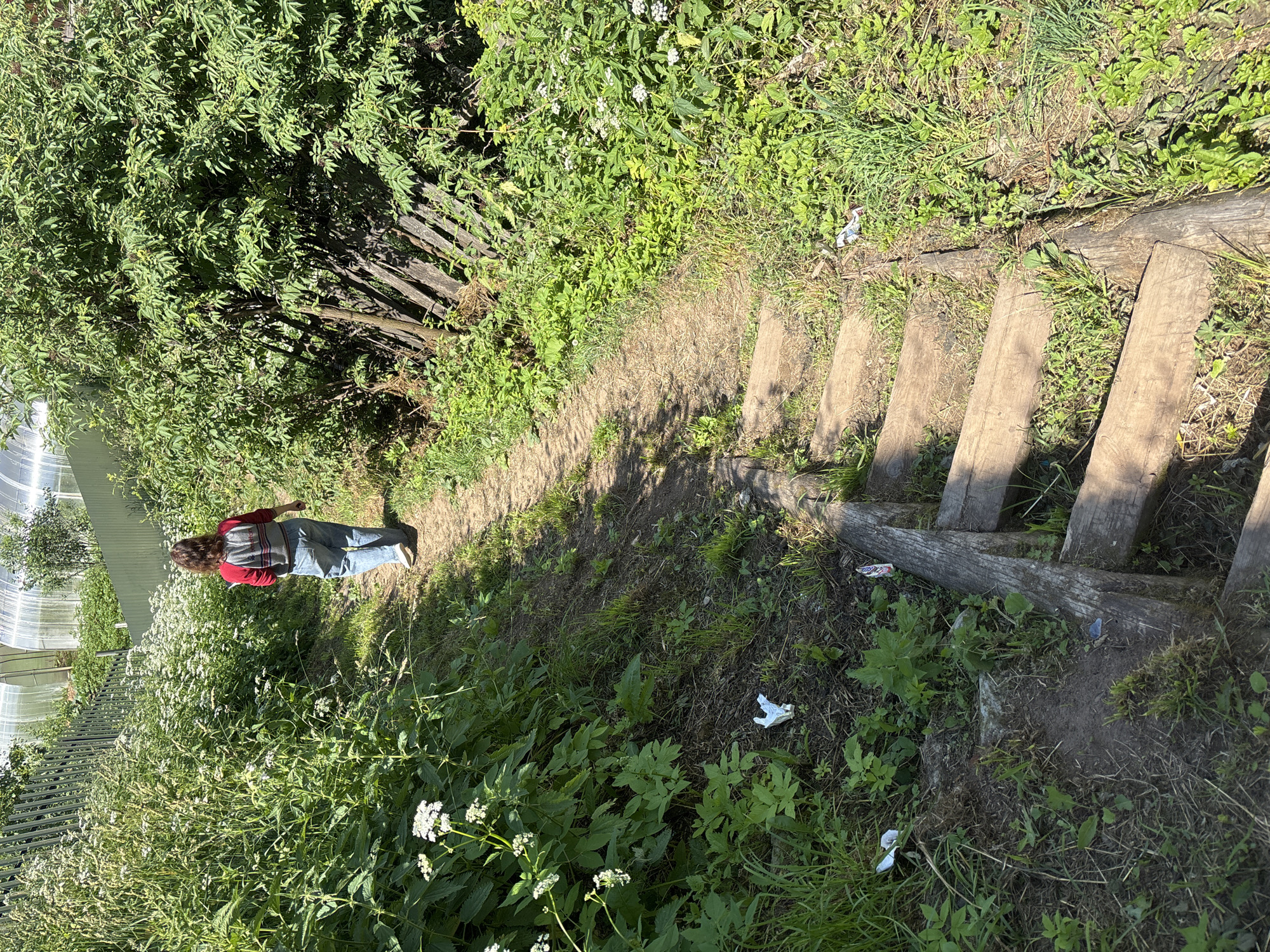 A person with long, curly brown hair is walking up a dirt path with wooden stairs. They are wearing a red sweater with a gray pattern and blue jeans, with a backpack on their shoulders. The path is lined with lush green vegetation, including tall grasses and bushes, and there is a greenhouse visible in the background. Scattered on the ground are pieces of white trash. The scene appears to be a rural or semi-rural area in Chaikovsky, Russia, likely a park or trail.