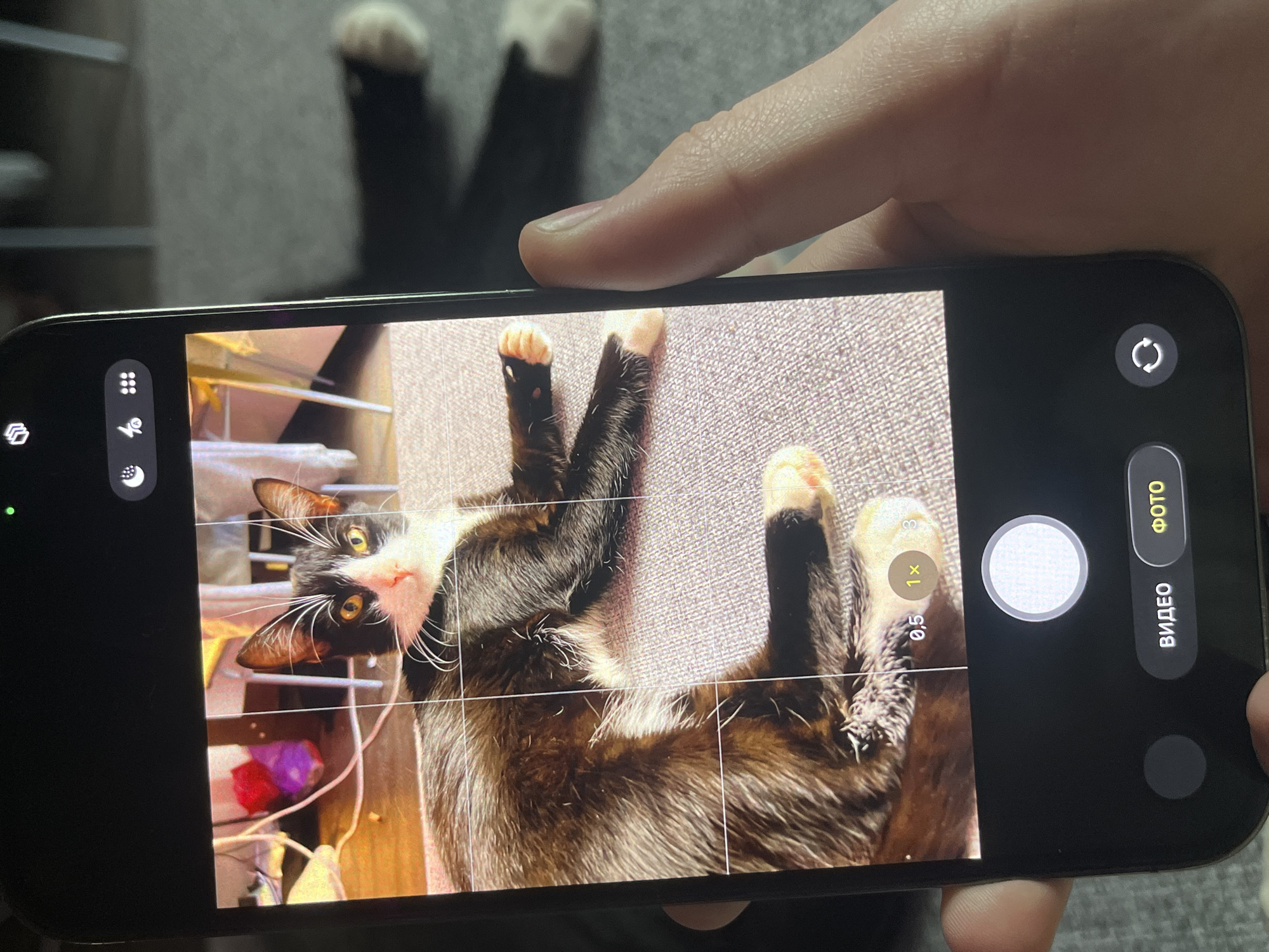 A person is holding a black smartphone and using the phone's camera to take a photo of a black and white cat lying on its back. The cat has its paws in the air. The phone displays the cat on the screen with the camera app interface visible, including the shutter button, zoom options, and video/photo mode buttons written in Russian. The background of the scene includes a gray textured surface with a pair of feet with white socks visible at the top of the frame. A shelf with various items, including a purple bag, is visible to the left of the cat. The setting is likely indoors. There is no evidence to determine the image was taken in Saint Petersburg, Russia.