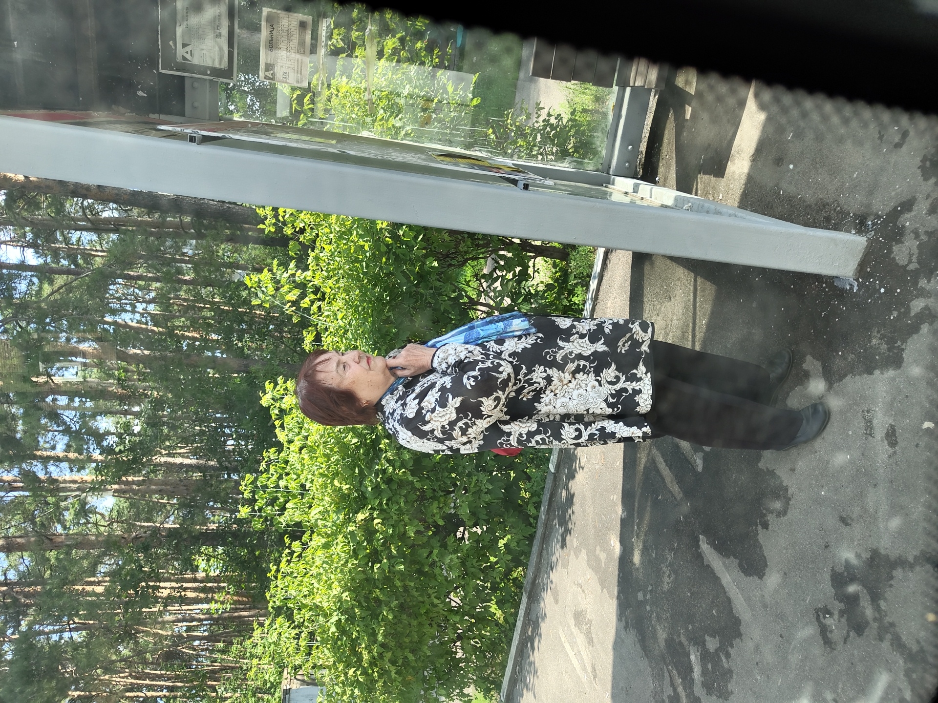 An elderly woman with auburn hair stands on a paved area next to a bus stop shelter in Zhukovsky, Russia. She is wearing a black and white floral patterned jacket, black trousers, and dark shoes. A blue scarf is visible around her neck. The bus stop shelter has a metallic frame and glass panels, displaying what appear to be schedules or advertisements. Behind the woman is a dense hedge of green bushes, and further back, a forest of tall, slender pine trees. The ground is asphalt, with some water stains and debris. The image seems to be taken from inside a vehicle, possibly through a window.