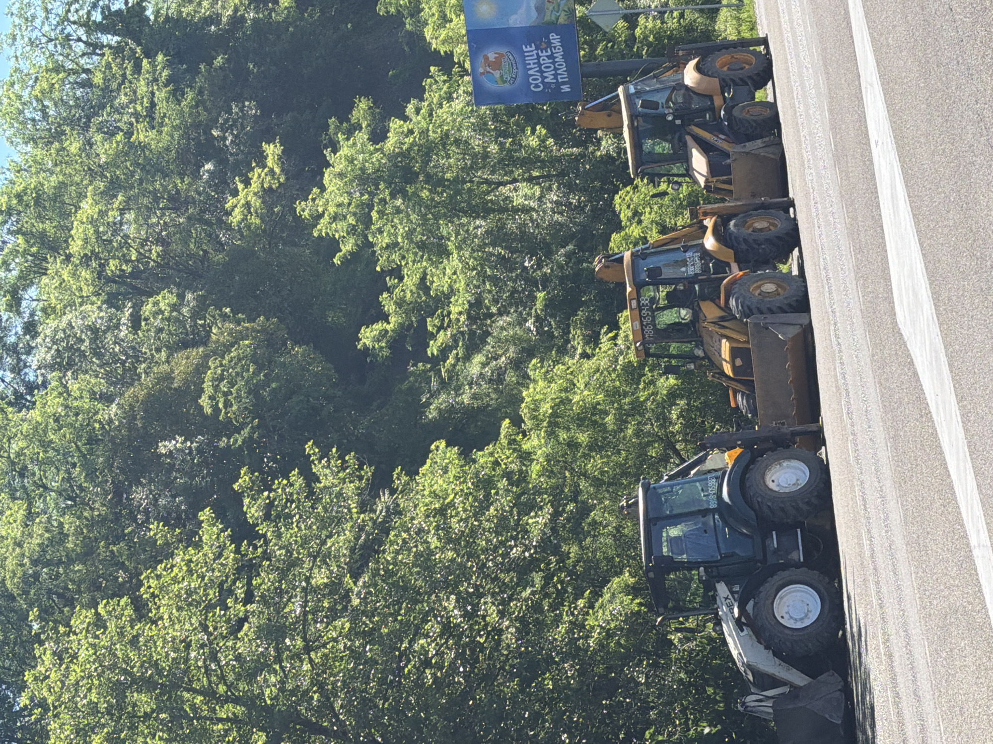 The image captures a scene along a road featuring several parked construction vehicles, lush green foliage, and a billboard under bright daylight.
In the foreground, a row of three yellow and black construction vehicles, specifically backhoe loaders or excavators, are parked on the side of an asphalt road. The road itself has clear white lines marking the lanes. The vehicles appear idle, suggesting they are either stored, awaiting work, or on a break, as no operational activity or personnel are visible.
The background is dominated by dense, vibrant green trees and foliage, indicating a natural or heavily vegetated environment. Above the trees and behind the vehicles, a blue billboard is prominently displayed. The billboard features an illustration of the sun, the sea, and a cow graphic. Visible Russian text on the billboard reads "СОЛНЦЕ * МОРЕ * И ПЛОМБИР" (SUN * SEA * AND PLOMIR), along with "ВКУС ИЗ ДЕТСТВА" (TASTE FROM CHILDHOOD) below the cow.
Bright sunlight illuminates the scene, creating strong highlights on the leaves of the trees and the metallic surfaces of the vehicles, suggesting a clear, sunny day. A phone number starting with "8918-" is partially visible on a sticker on one of the vehicles. The front-most vehicle also displays the brand name "VOLTEX" or similar on its side.
The scene is set in Sochi, Russia, as indicated by the contextual information and the Russian text on the billboard.