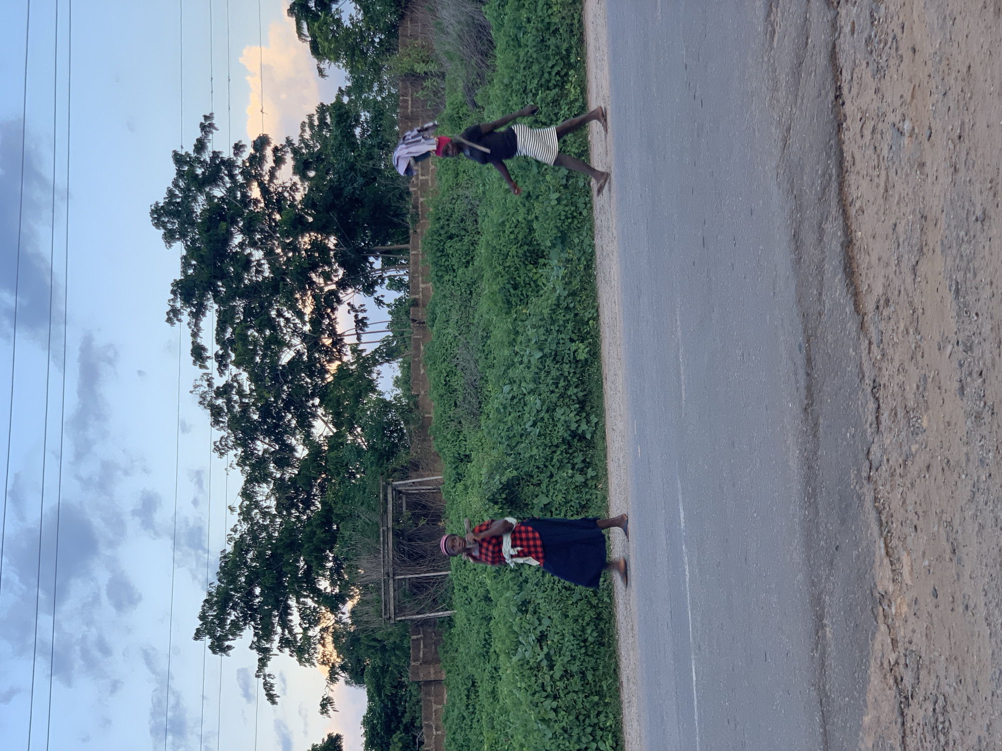 The image depicts two individuals walking on a paved road in Kabba, Nigeria. The scene is set against a backdrop of lush green vegetation and trees, with a cloudy sky overhead, suggesting it is late afternoon or early evening.
The first person, closer to the viewer, appears to be a woman wearing a red and black checkered top, a dark skirt, and a headscarf. She is carrying a white cloth over her shoulder. Her posture suggests she is walking and looking towards the viewer.
Further down the road, a second person, possibly a man, is walking. He is wearing a dark t-shirt and striped shorts. He has a bundle of white cloth on his head, secured with a red band, and is carrying a long, thin object, possibly a stick or tool, across his shoulders.
The road itself is paved and appears to be in good condition, with a white line marking the center. To the right of the road, the ground is unpaved and covered in gravel and dirt. There are hints of a simple wooden structure or shelter in the background among the trees. The overall impression is one of a rural or semi-rural environment in Nigeria. The lighting suggests a gentle, diffused light, typical of the late hours of the day.