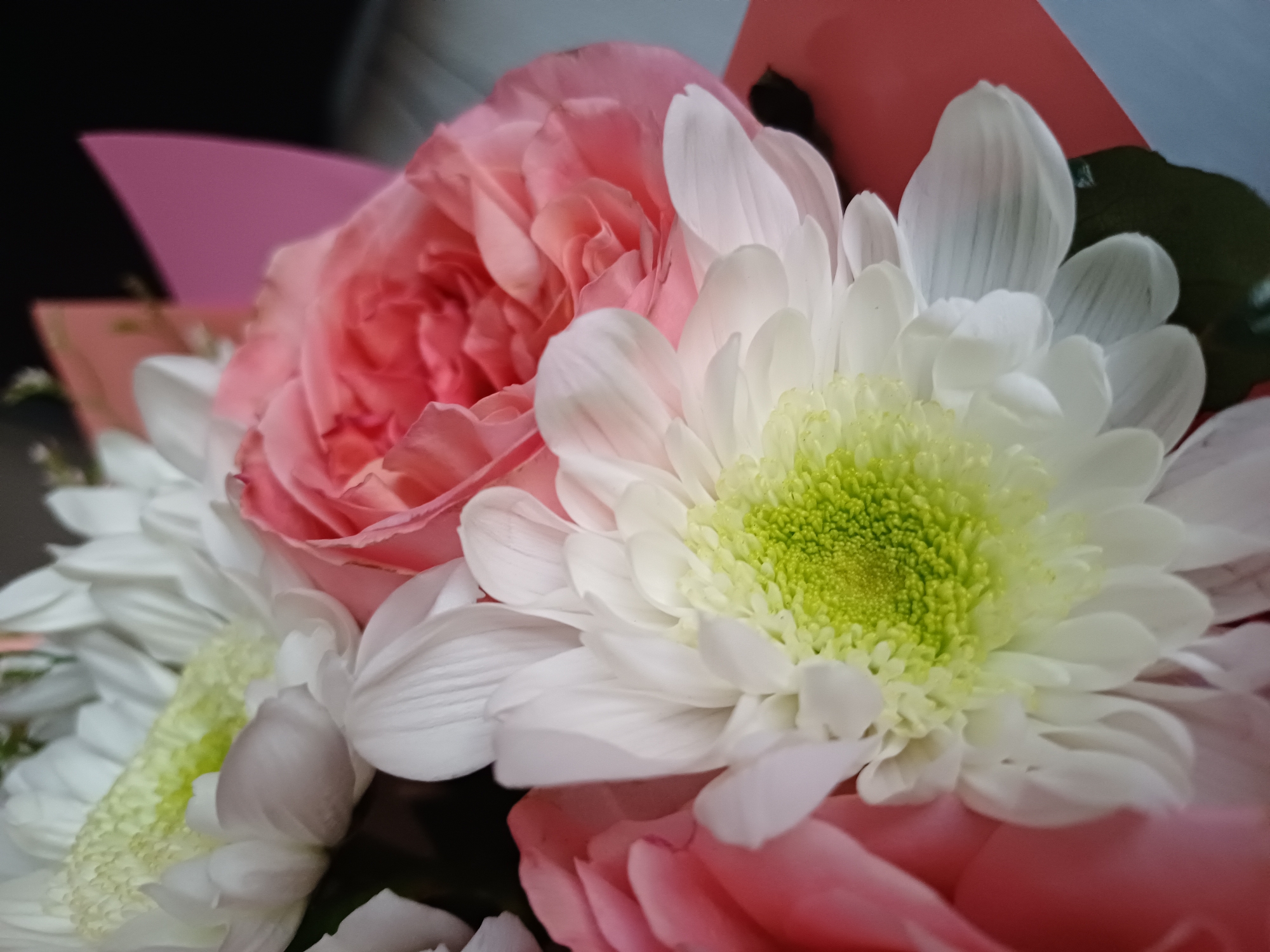 A close-up, overhead, medium shot shows a bouquet of flowers. The bouquet is primarily composed of pink roses and white chrysanthemums with vibrant green centers. The flowers are arranged closely together, with some petals overlapping. The background is blurred and appears to be a dark surface, possibly a table, with hints of pink and blue wrapping paper. The lighting is soft, highlighting the textures and colors of the flowers.