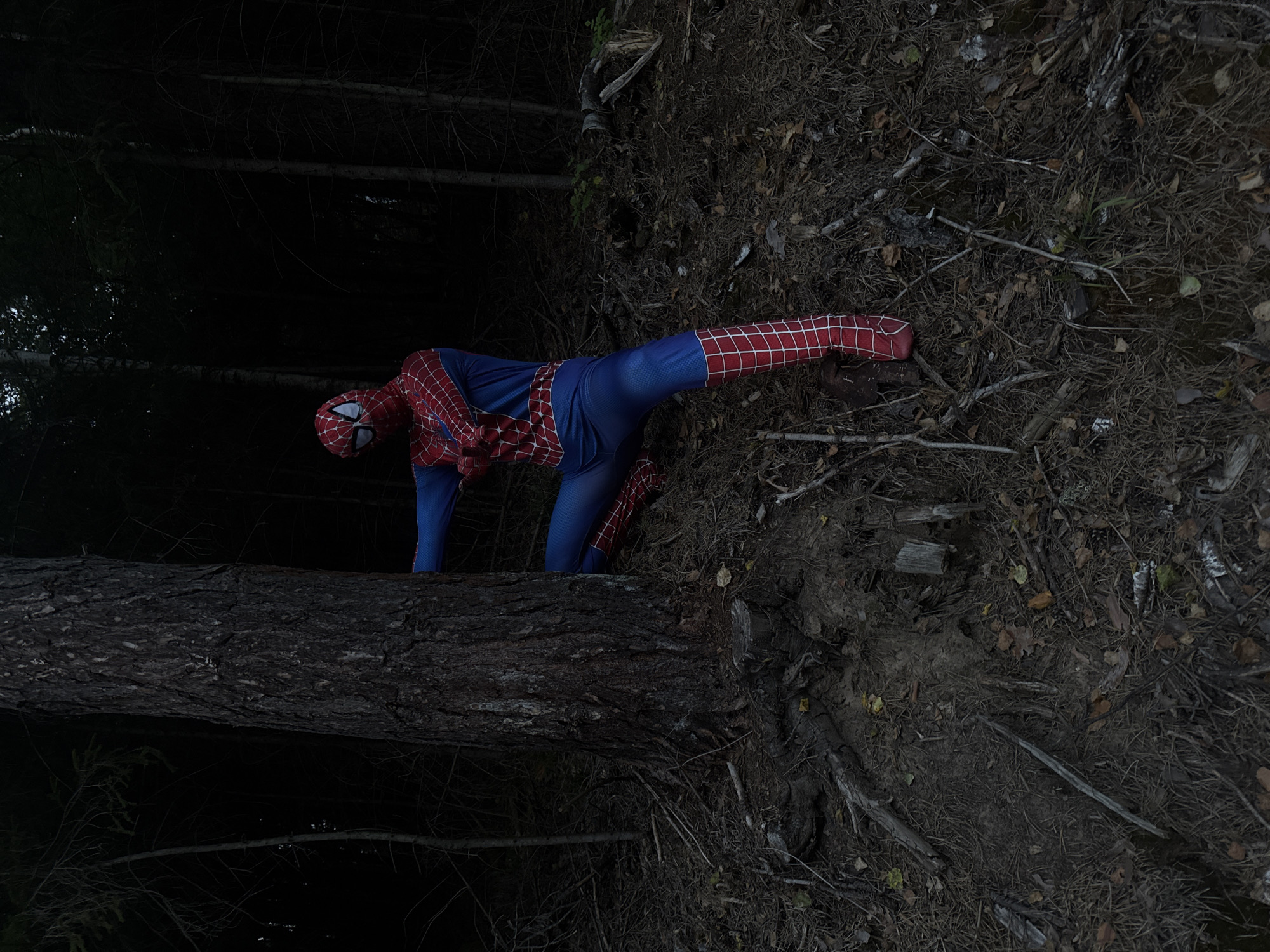 A person in a Spider-Man costume is partially hidden behind a large tree trunk in a dark, dense forest. The costume is red and blue with a web pattern. The person's body is angled, with one leg bent and resting on the ground, and the other leg extended behind them. Their arms are bent at the elbows, with their hands near their chest. The forest floor is covered in pine needles, fallen leaves, and branches. The background is dark, with the silhouettes of trees visible. The lighting is dim, suggesting it is either dusk or the forest canopy is very thick.