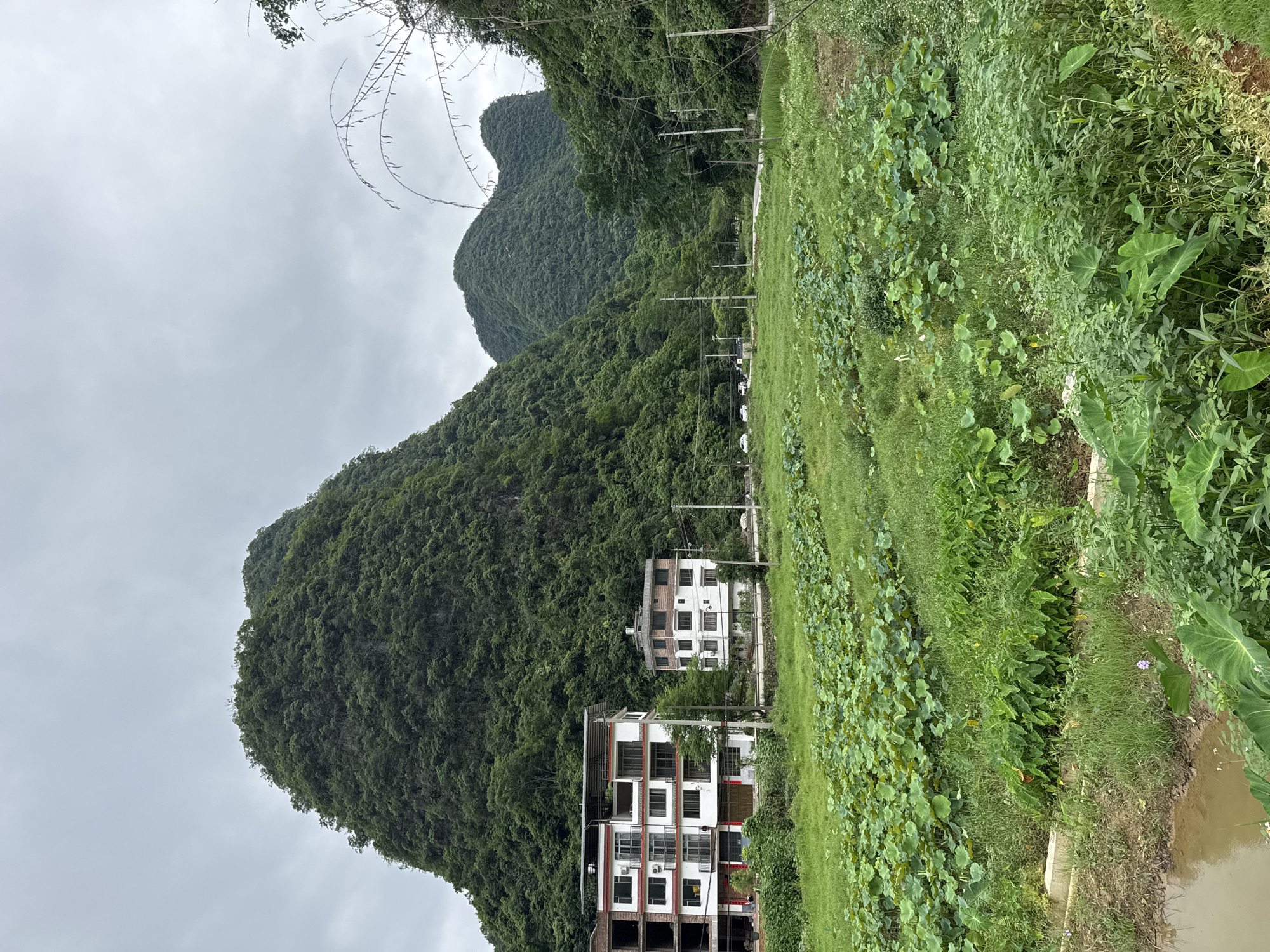 The image shows a landscape near Guilin, China. Two buildings are visible at the foot of a lush, green, tree-covered mountain. Power lines stretch along a road beside a field of verdant vegetation. The sky is overcast. There are no people visible in the image. Part of a body of water is visible on the right.