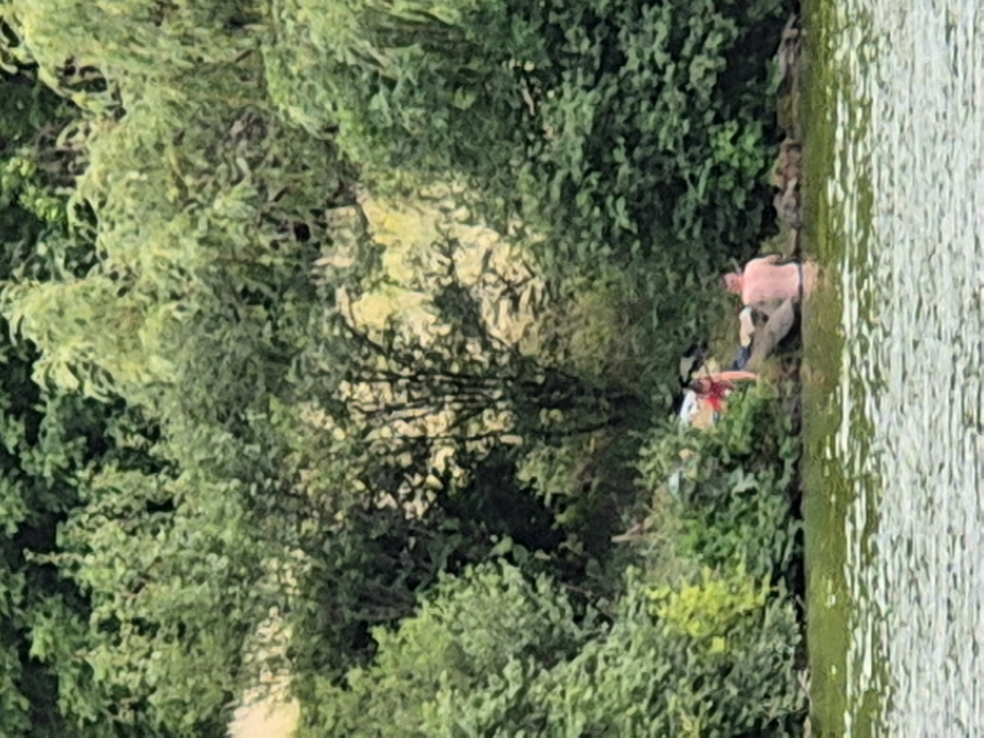 This image depicts a natural scene with two individuals by the water's edge. The setting appears to be a lush, green environment with dense foliage and trees bordering a body of water. The water itself is visible on the right side of the frame, reflecting the surrounding greenery with a textured, rippling surface.
The primary subjects are two people near the treeline. One individual, wearing a light-colored garment, is partially visible, leaning or crouching. Another person is further to the left and appears to be wearing red and white clothing, possibly a life vest or a bright shirt, and is situated closer to the water. Their postures suggest they might be engaged in an activity near the water, such as fishing, resting, or perhaps preparing to enter or exit the water. The exact nature of their activity is not definitively clear due to the image's resolution and distance.
The time of day is suggested by the lighting, which appears to be natural daylight, possibly overcast or with dappled sunlight filtering through the trees. The weather seems to be pleasant enough for outdoor activity by the water. The location context provided indicates Sozonivka, Ukraine, which aligns with the description of a natural, possibly rural or park-like setting with a body of water. There is no visible text in the image. The overall impression is one of a tranquil, outdoor moment in a natural landscape.