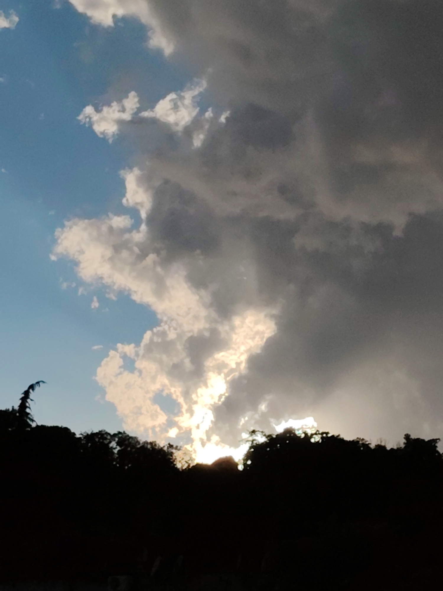 The image captures a dramatic sky with dark, heavy clouds on the right and lighter, brighter clouds on the left, where the sun is partially visible, casting a bright glow. The horizon is silhouetted by a dark line of trees and foliage. The scene appears to be an outdoor landscape, possibly in a natural or park-like setting. There are no people, identifiable objects, or actions depicted. The location is identified as Sochi, Russia.