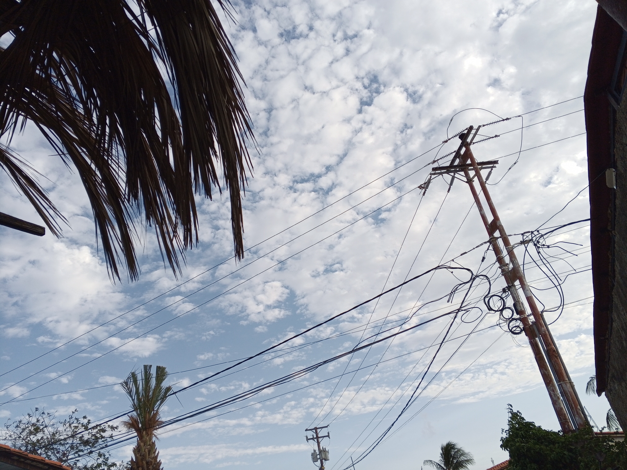 The image is a low-angle shot taken outdoors, possibly in a city environment of Unknown, Unknown. Dominating the view are two utility poles with numerous electrical wires crisscrossing the sky. The pole to the right is notably larger, and the wires connected to it appear tangled. To the left, there's a partially obscured view of what looks like a palm tree, while the right side features the edge of a building. The sky is mostly visible, filled with clouds. In the lower part of the image, there are glimpses of other trees and rooftops.
