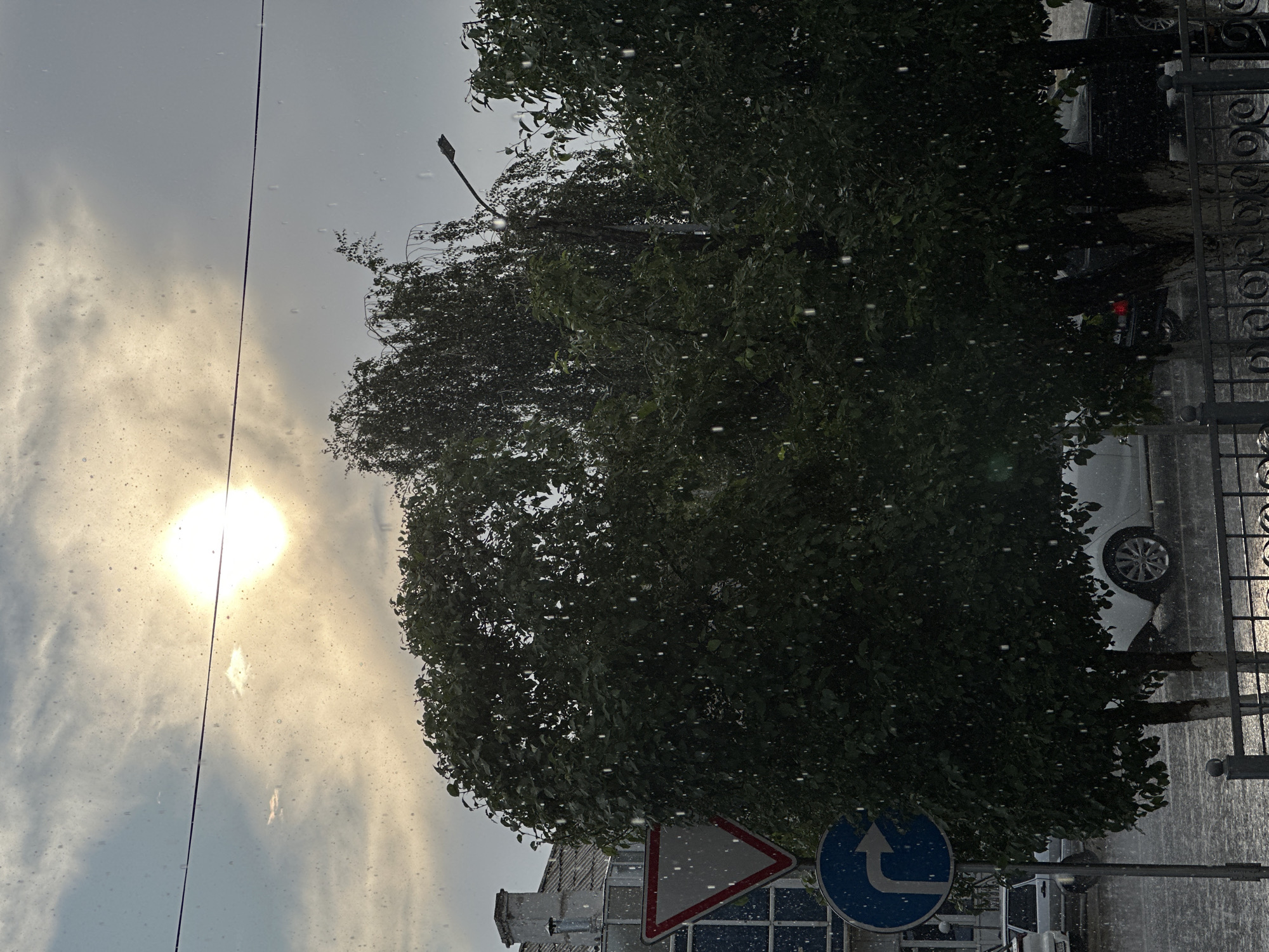 A view of a street in Kokshetau, Kazakhstan, during a rain shower. The sun is partially visible through a hazy sky, casting a soft light. Raindrops are visible in the air. Lush green trees dominate the foreground, with a traffic light and a yield sign visible on the left. Cars are parked and moving on the wet street. A fence runs along the bottom of the frame. The overall impression is one of a city street experiencing a temporary weather change.