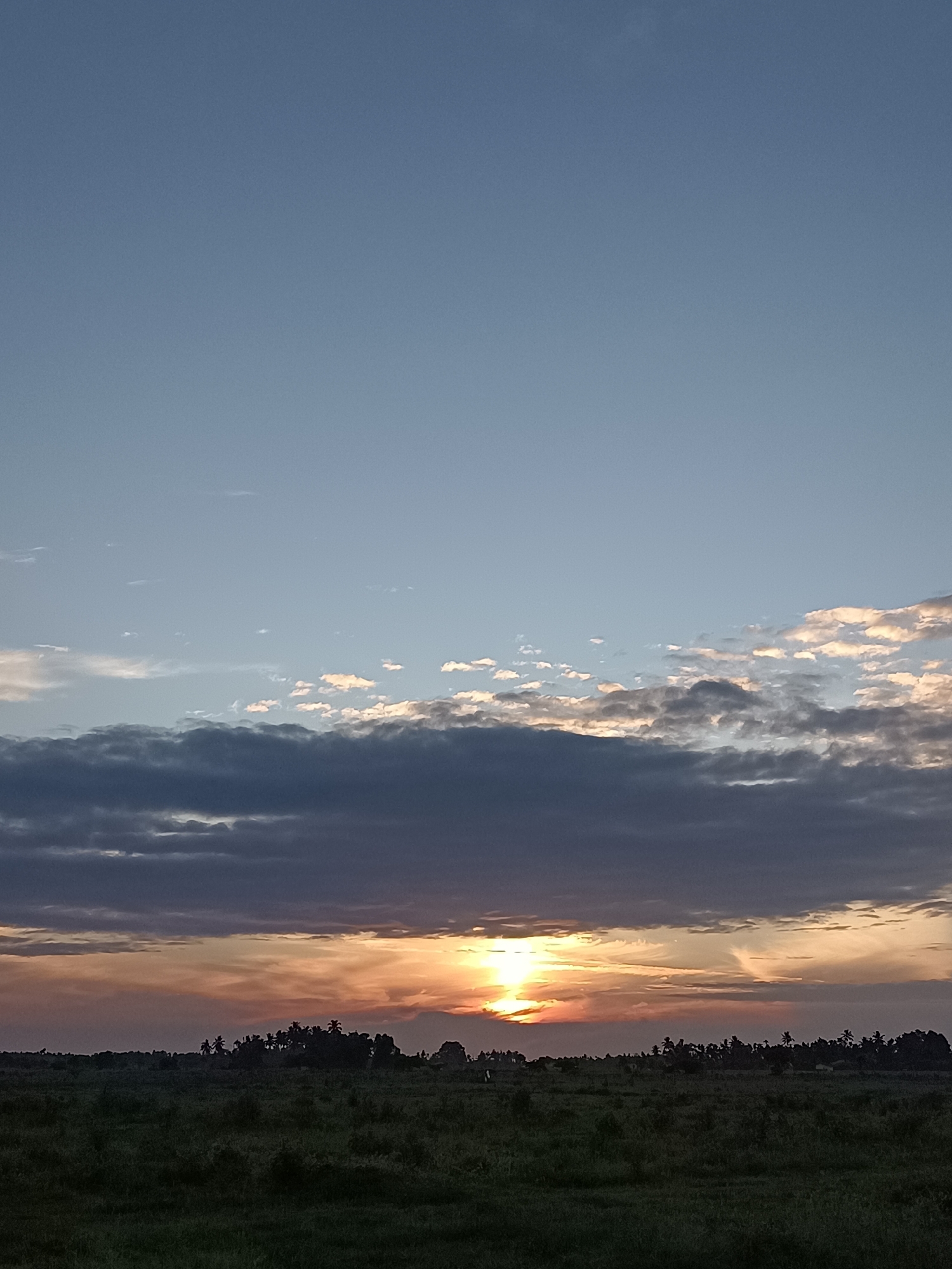 An outdoor, vertically oriented, medium-shot photograph captures a rural sunset scene in the city of Meunasah Pupu, Indonesia. The sky, vast and clear at the top, transitions to a mix of grey and white clouds towards the horizon. The sun, a bright orange disc, is partially obscured by a dark cloud formation, casting warm hues of orange, pink, and yellow across the sky.
Below the horizon, a silhouetted landscape unfolds, featuring a line of trees and vegetation that partially hides a cluster of small buildings. The foreground is dominated by a field of dark green grass, with the overall lighting suggesting the twilight hours. No people are visible in the frame. The image composition is serene, showcasing the natural beauty of the Indonesian countryside at dusk.