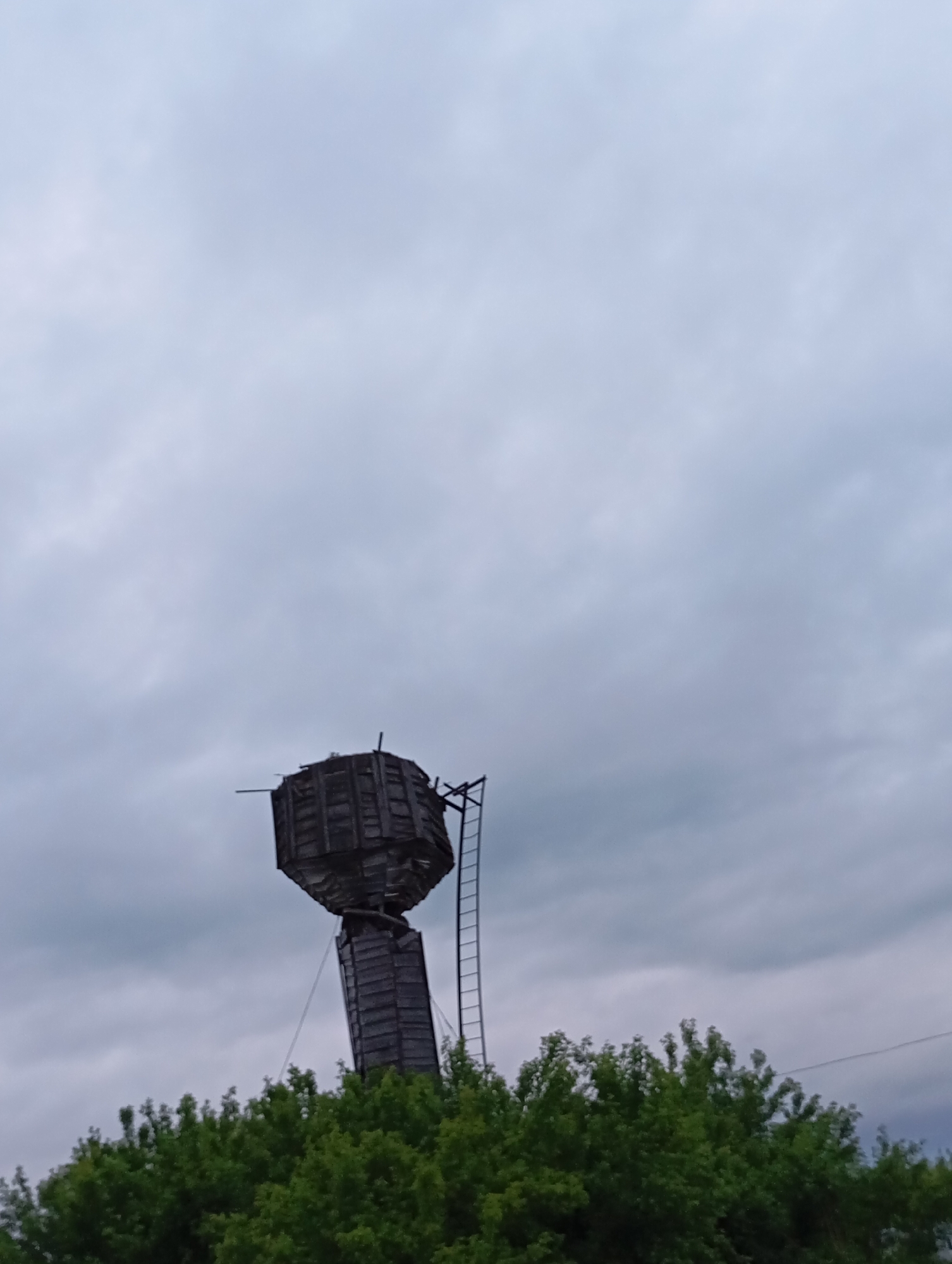 The image displays a weathered, elevated structure, likely a water tower, located in the city of Фоки, Russia. The structure features a large, dark, multi-faceted storage tank at its apex, constructed from paneling that exhibits visible signs of decay. This tank is supported by a narrower, vertical column, also appearing to be constructed from similar material and showing comparable deterioration. A tall, unpainted metal ladder is affixed to the right side of the column, extending upwards. The lower section of the structure is partially obscured by the dense green foliage of several deciduous trees positioned in the foreground. The sky above is uniformly overcast with light grey clouds, providing diffused natural illumination to the scene. No individuals, actions, or interactions are present.