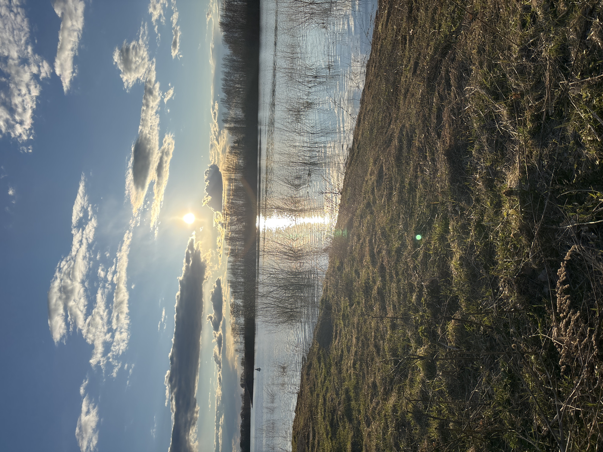 A serene landscape photograph taken during the golden hour, likely in Chaikovsky, Russia. The image, if viewed in its intended landscape orientation, features a vast, reflective body of water separating a grassy bank in the foreground from a distant tree line, all under a dynamic sky.
The sky is a clear blue, adorned with scattered white and grey clouds of various shapes and sizes, some appearing wispy and elongated, others more substantial. The sun, low on the horizon, emanates a brilliant golden light from the upper right, creating a strong glare and a shimmering path of light across the water's surface. A distinct green lens flare is visible in the lower right foreground, indicating the sun's direct presence.
The body of water, possibly a river or lake, is largely calm and highly reflective, mirroring the sky, clouds, and the intense sun glare. Numerous bare branches or tall reeds protrude from the water across the middle ground, suggesting shallow areas or plants rooted in the water. A small, white, pyramidal buoy or marker can be seen floating in the water towards the left.
The foreground consists of a gently sloped bank covered in a mix of dry, light-brown grasses and some patches of greener vegetation, indicating either late autumn or early spring. In the background, a dense line of bare deciduous trees stretches along the horizon, their dark silhouettes contrasting with the brighter sky and their reflections subtly visible on the water.
No people or visible text are present in the image, emphasizing the natural tranquility of the scene during either sunrise or sunset.
