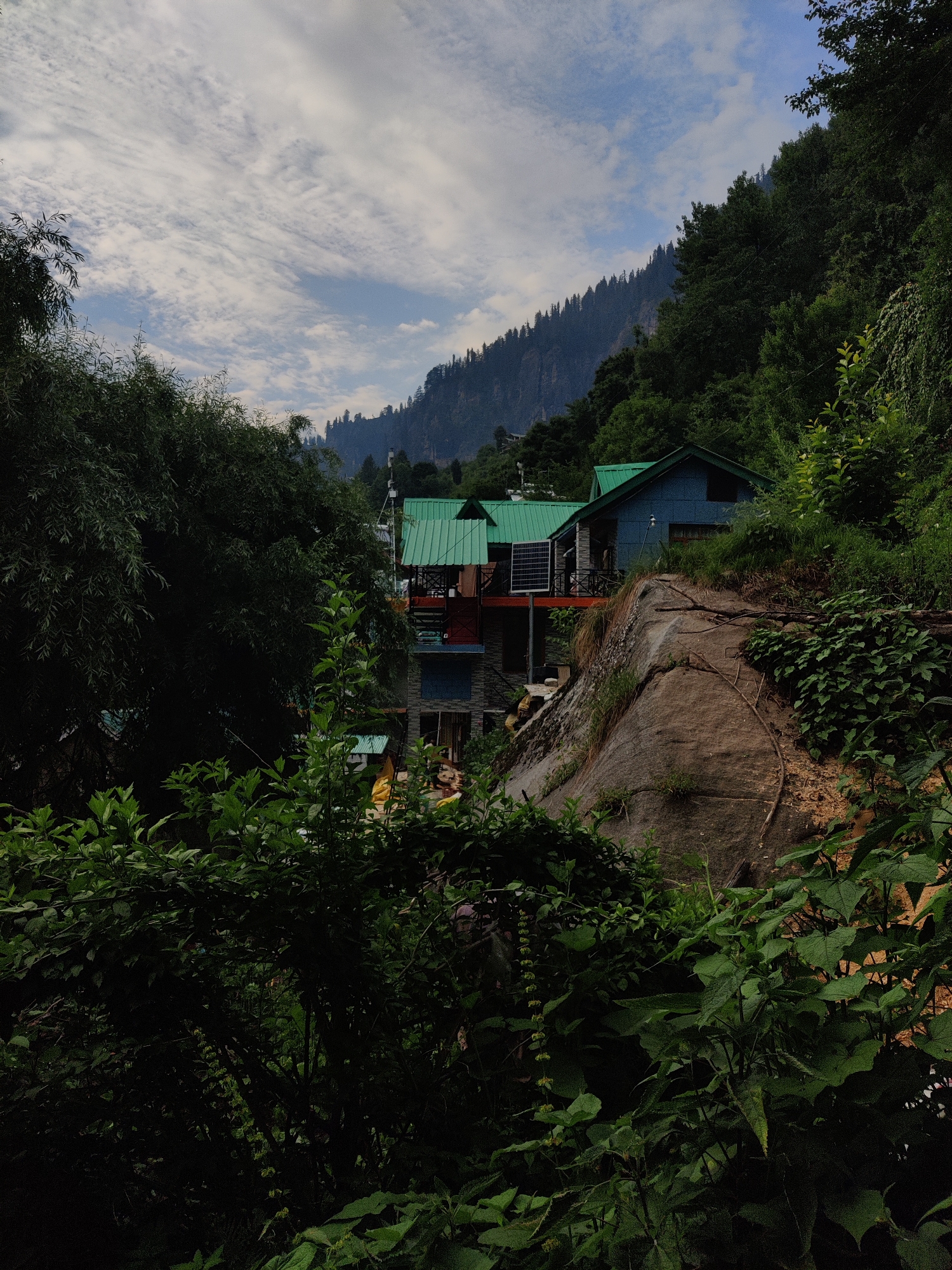 This media file depicts a scenic view of a village nestled in the mountains, likely in Vashisht, India, given the context. The primary subjects are two houses with distinctive green, sloped roofs, built into the side of a rocky incline. The houses are painted in different colors, one a light blue and the other appears to have multiple levels with exposed stonework and balconies. They are surrounded by lush, dense vegetation, with large trees and bushes dominating the foreground and the hillside.
The scene suggests a daytime setting, with soft, diffused light filtering through the clouds. The weather appears to be overcast or partly cloudy, indicated by the texture of the sky. The mountains in the background are covered in a dense forest of pine trees, creating a dramatic backdrop. The incline of the terrain, the style of the houses, and the abundance of greenery are strong cues to the location.
There are no people clearly visible in the image, but the presence of the houses suggests habitation. The activity taking place is implied to be the daily life within a mountain village. Notable details include the rugged texture of the rock face on which the houses are built, and the contrast between the man-made structures and the wild, natural environment. The overall mood conveyed is one of tranquility and rustic beauty, typical of a serene mountain retreat. No visible text is present in the image.