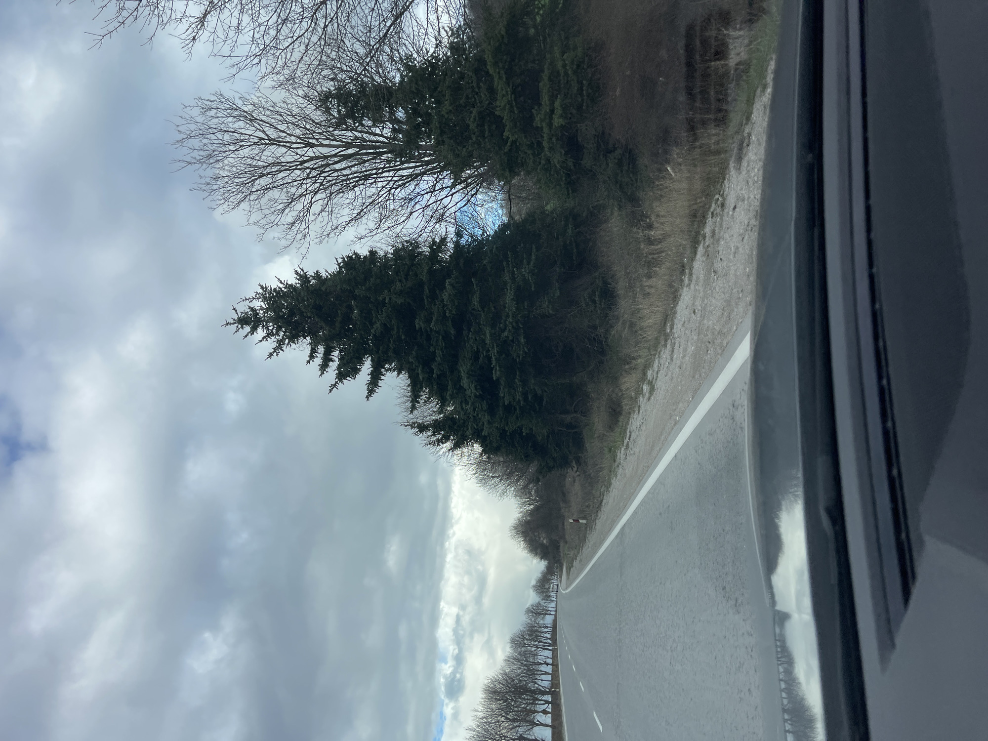 The image shows a road in Kamburovo, Bulgaria. The view is from inside a vehicle, looking out the side window. The road is wet and has a white dividing line. Trees line both sides of the road, with a mix of deciduous trees without leaves and evergreen trees. The sky is overcast with gray clouds. The overall environment suggests a rural or semi-rural setting. No people are visible.