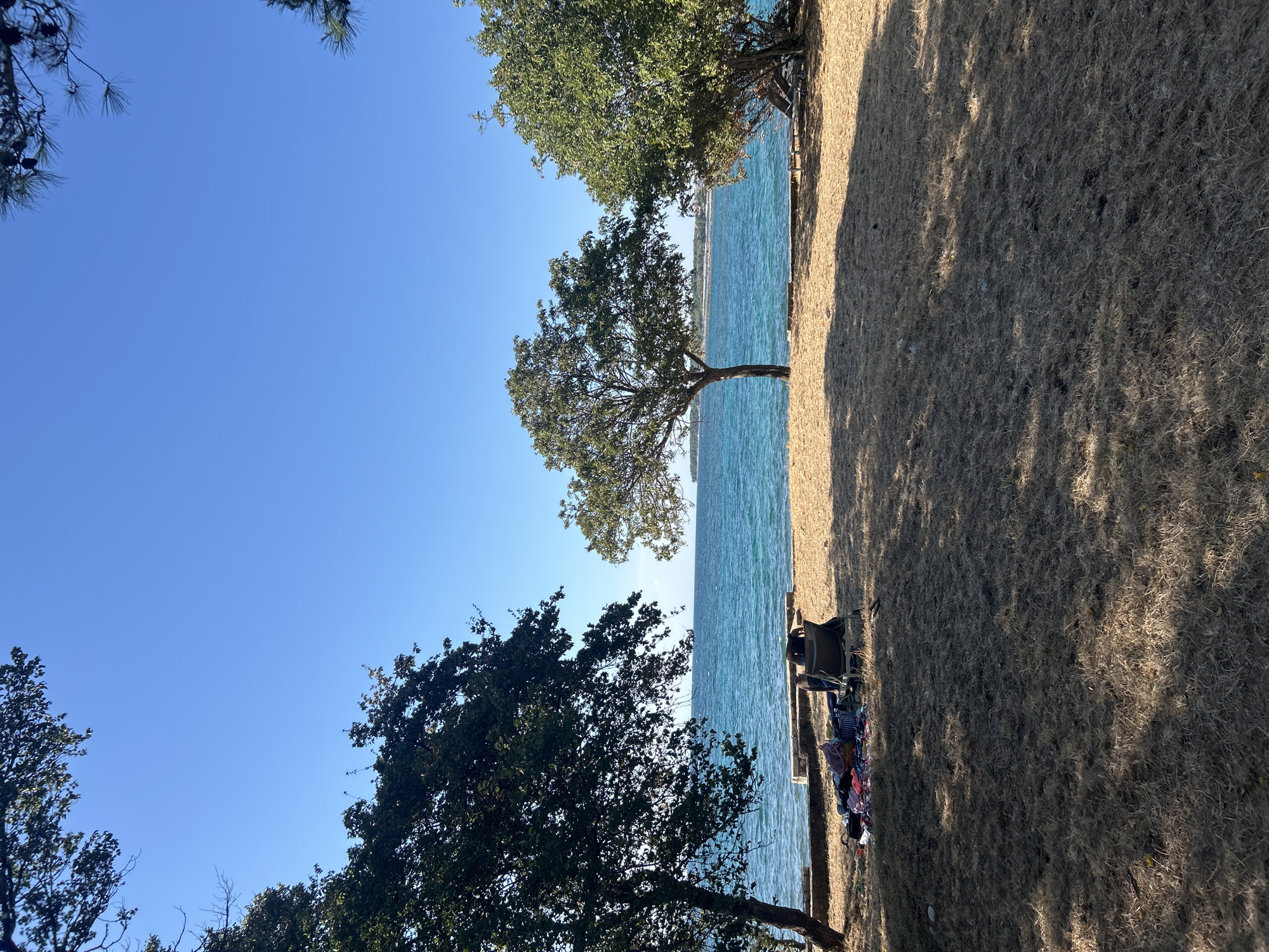In Katoro, Croatia, a tranquil scene unfolds on a grassy shoreline under a clear blue sky. The foreground is dominated by dry, sun-baked grass, with dappled sunlight casting shadows from unseen trees. To the left, a large, leafy tree provides shade. Beneath its canopy, a person relaxes in a portable chair, facing away from the camera, with a colorful blanket and various items spread out on the ground. To the right, another tree with lush green foliage stands tall, partially obscuring a wooden lounge chair. In the middle ground, the turquoise waters of the sea stretch towards a distant shoreline dotted with buildings, hinting at a coastal town or resort. The horizon is a clean, unbroken line between the sea and the sky, with a small ship visible in the distance.