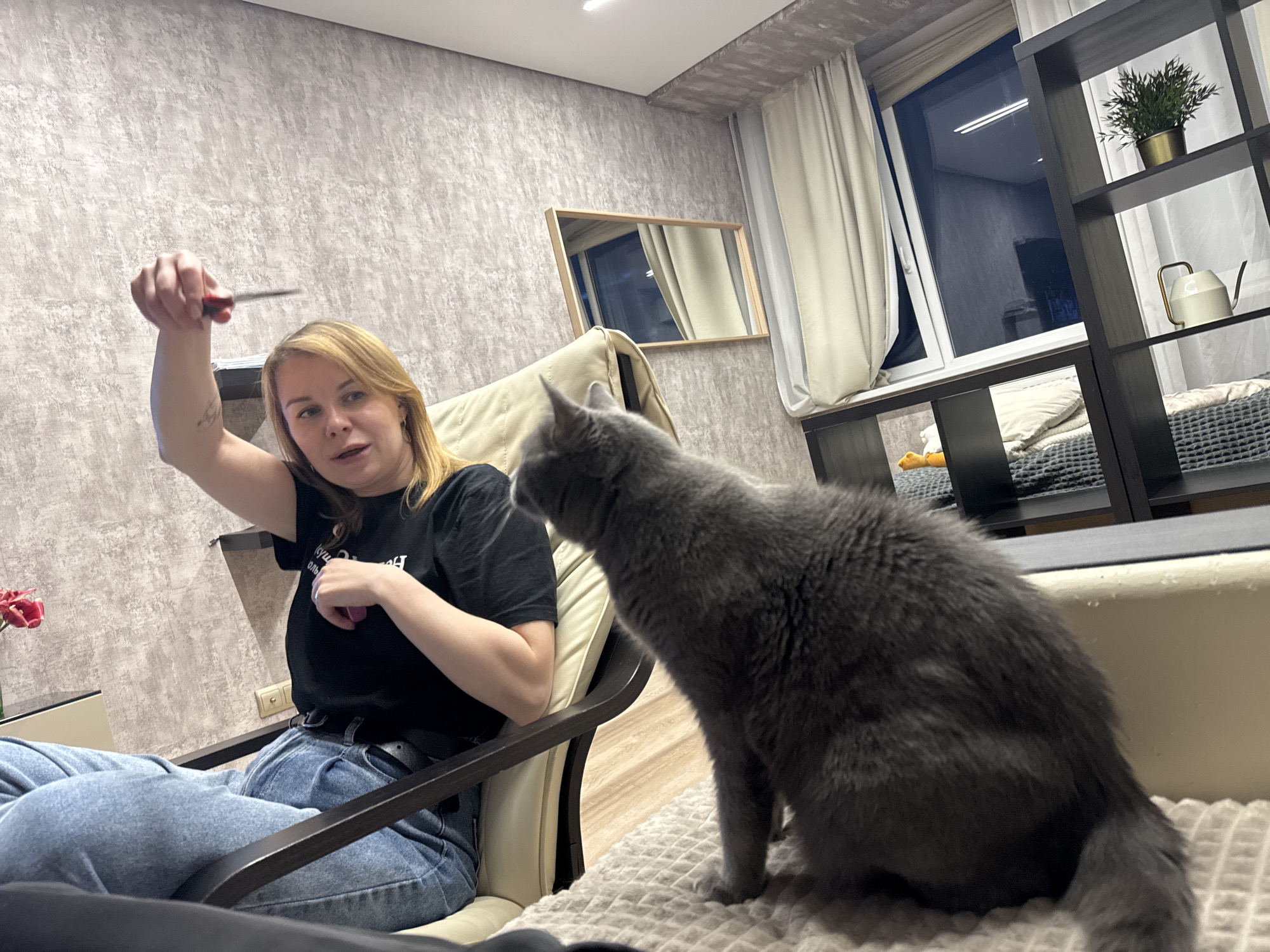 A woman with blonde hair, wearing a black shirt and blue jeans, sits in a beige chair holding a small, flat object in her raised right hand. She is looking at a gray cat, which is positioned in front of her on a beige surface. The setting appears to be indoors, with a beige textured wall behind the woman and a mirror hanging on it. In the background, there is a window with white curtains and a black shelving unit holding a plant and other objects. A small bouquet of red flowers is visible on a table to the left of the woman.