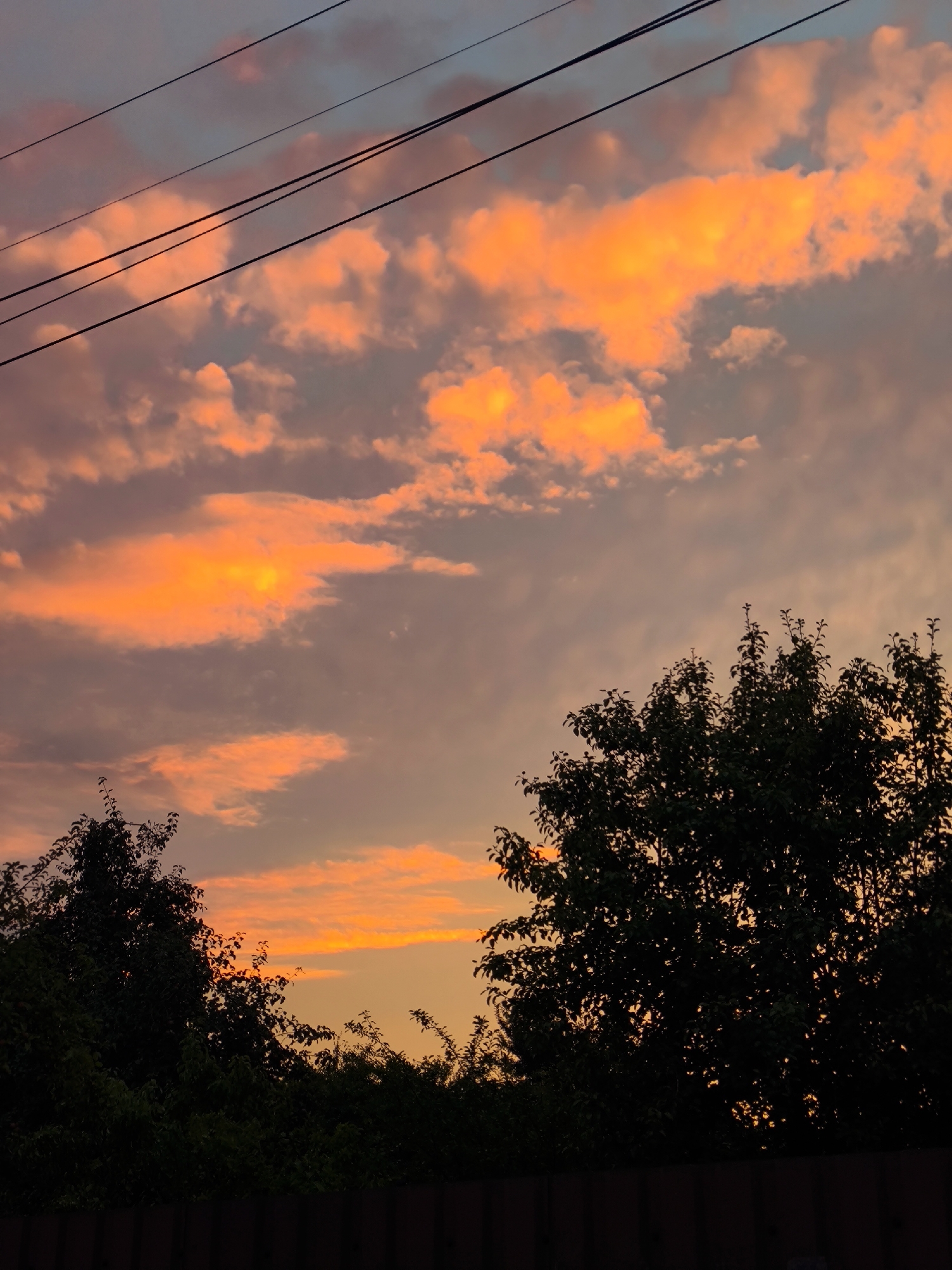 The image depicts a sunset over a residential area. The sky is filled with dramatic orange and pink clouds, indicative of a sunset. Several dark silhouettes of trees are visible in the foreground, with their branches reaching upwards towards the sky. A dark wooden fence runs along the bottom of the image, suggesting the edge of a property. Power lines are strung across the upper portion of the sky. No people or specific landmarks are identifiable in the image. The scene is likely captured in a suburban or rural setting, though the prompt suggests a specific city location is to be inferred, which is not visually supported by the image content.